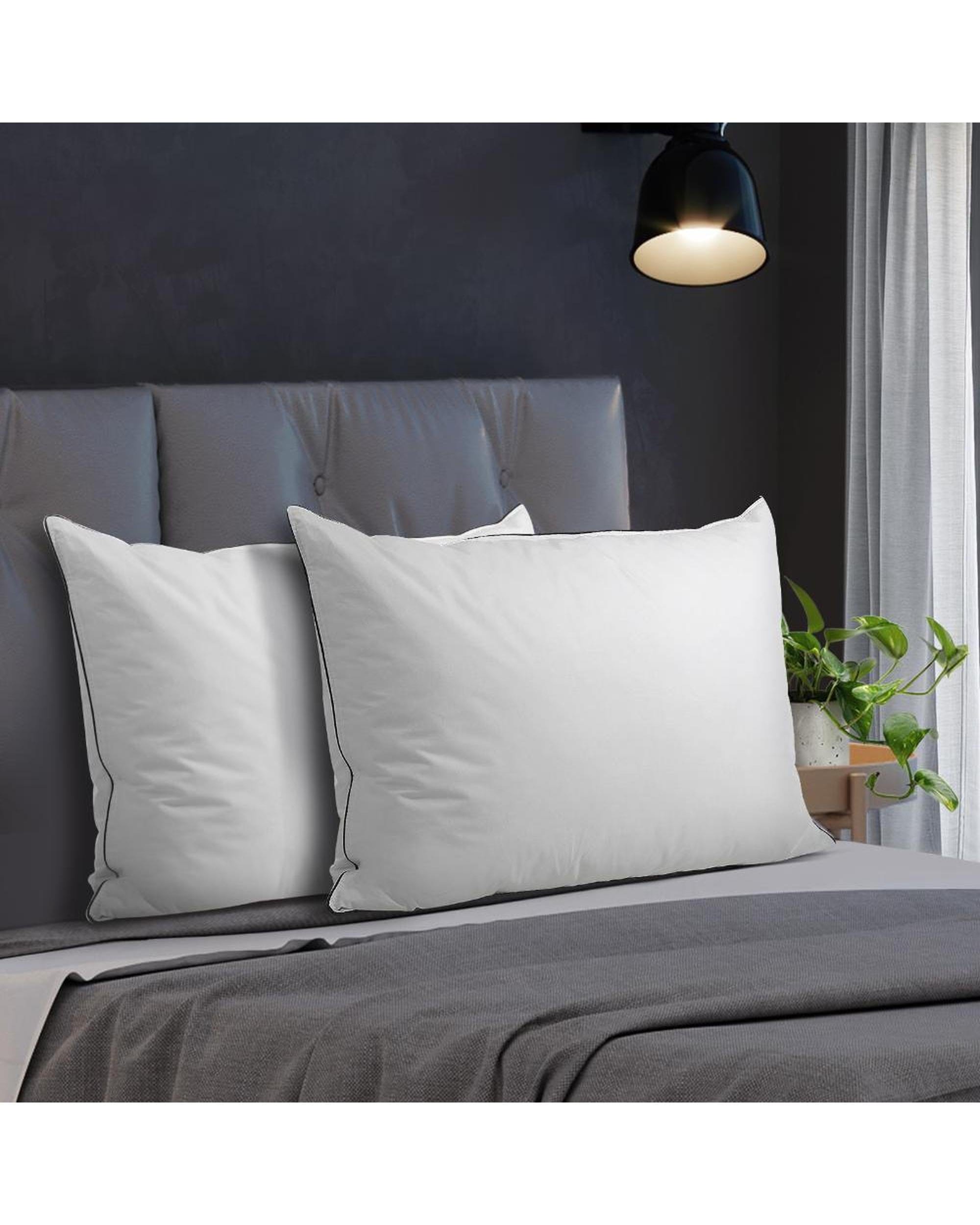 Bedra Pillows/Cushions 75 x 50cm Pillow with Duck Feather Standard Pillow Cotton Cover Twin Pack