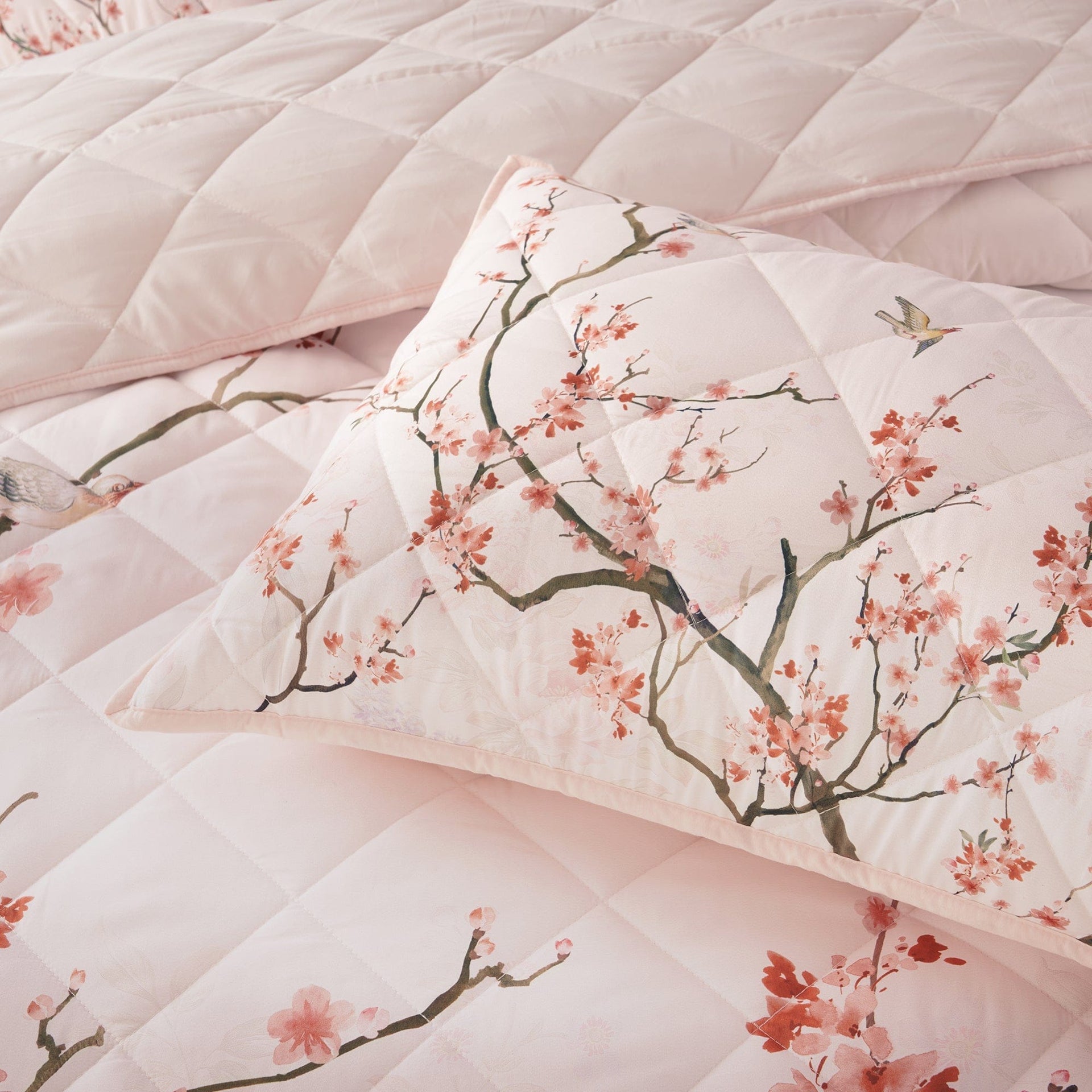 Bianca Bedding Bedspread Set Bianca Evelyn Blush Polyester Bedspread Set