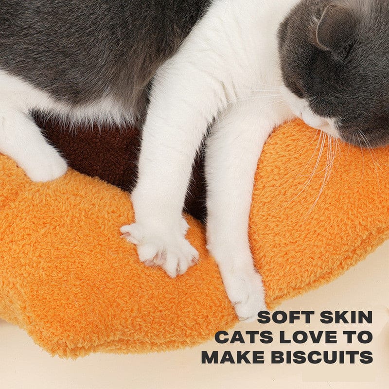 Big Bedding Australia Cat Bed Cat Bed Cat Calming Beds Cat Sleeping Bed Detachable Washable Fluffy Cat Beds