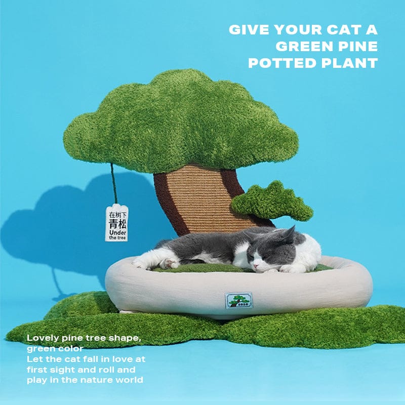 Big Bedding Australia Cat Bed Potted style cat dog bed cat scratching post warm pet nest