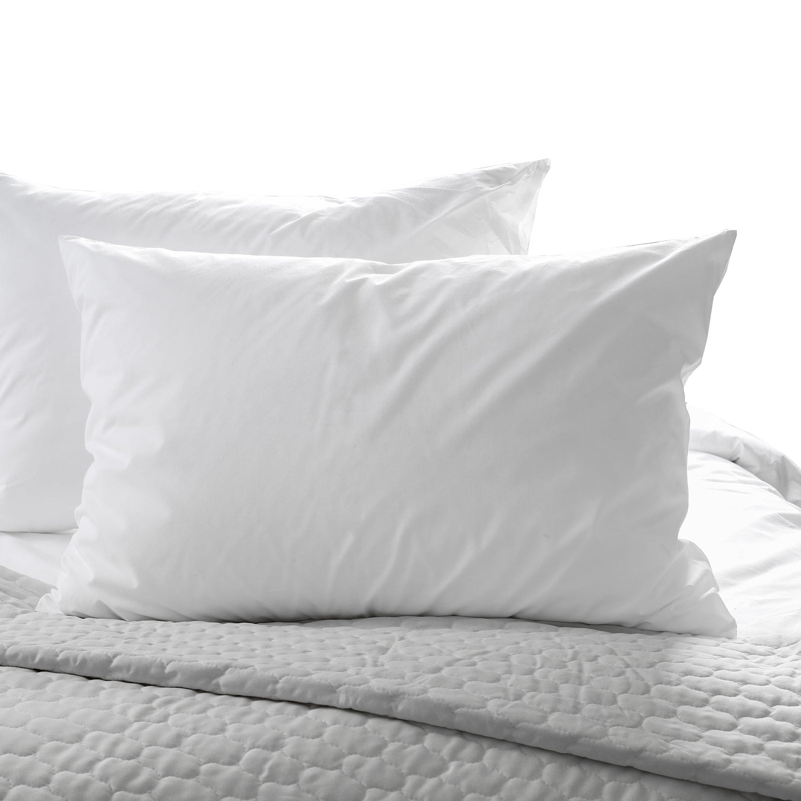 Casa Decor Pillows/Cushions Copy of Casa Decor 50% Duck Feather 50% Down Pillow Cotton Cover 1000GSM Single Pack