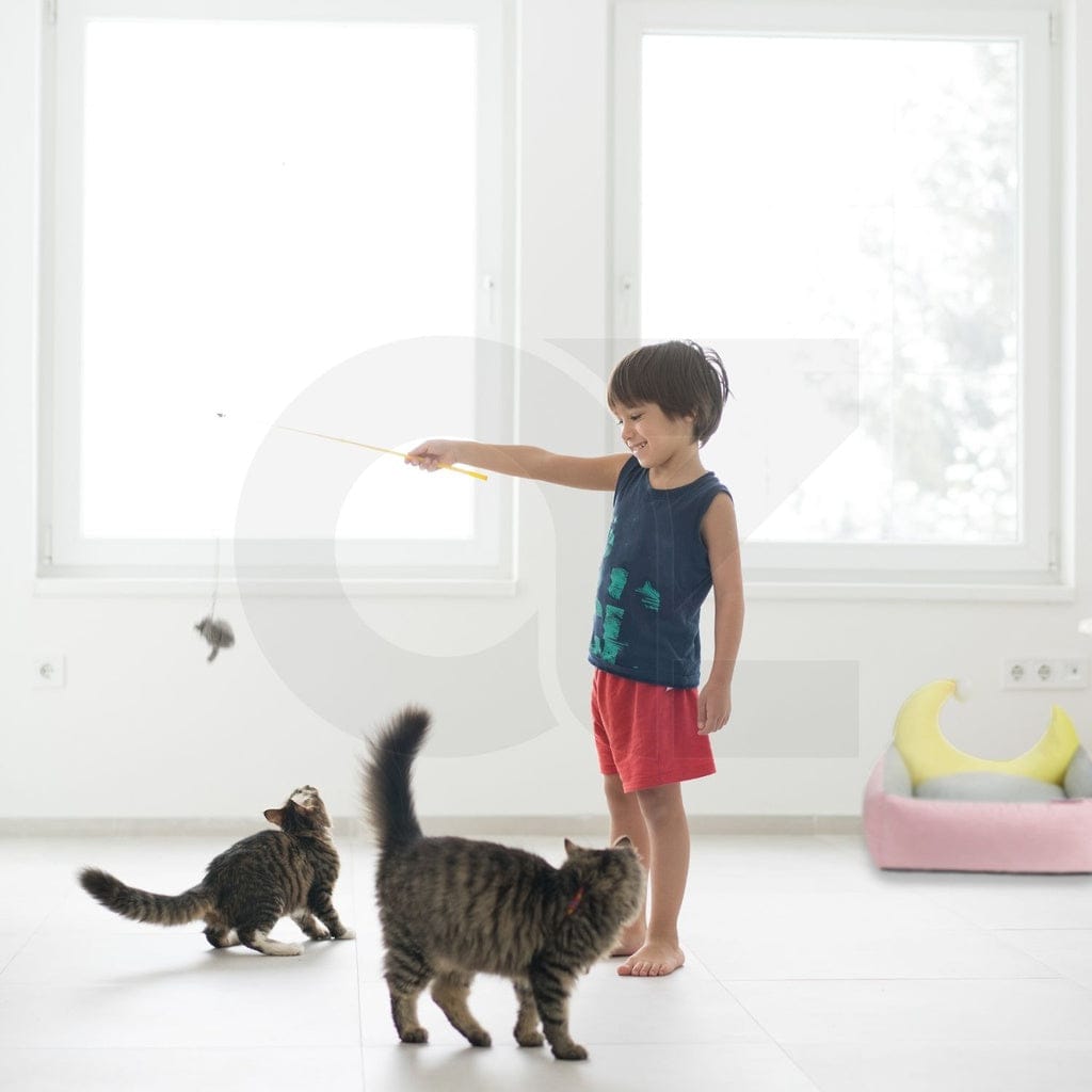 FLOOFI Cat Bed Floofi Pet Bed Moon Design (M Blue)