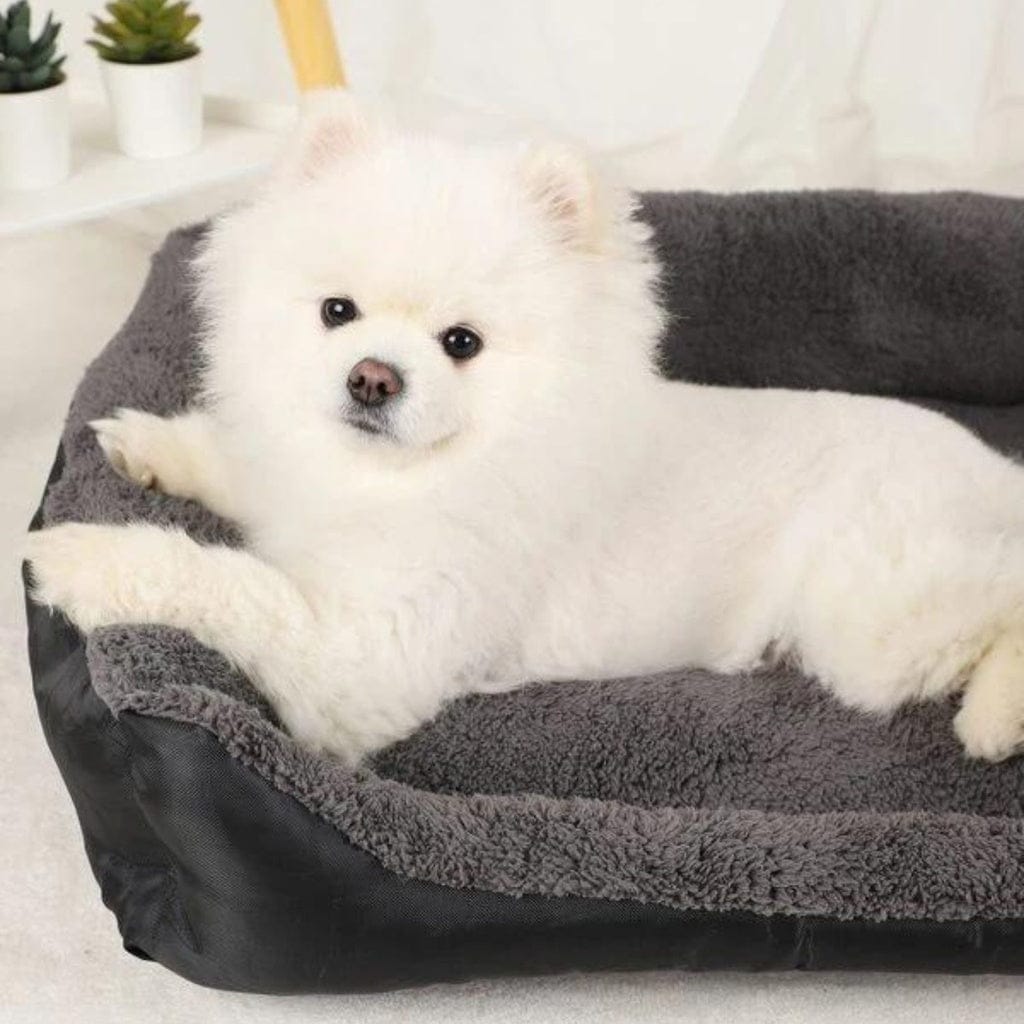 FLOOFI Indoor Dog Bed FLOOFI Pet Bed Square L Size Comfy Washable Black and Dark Grey