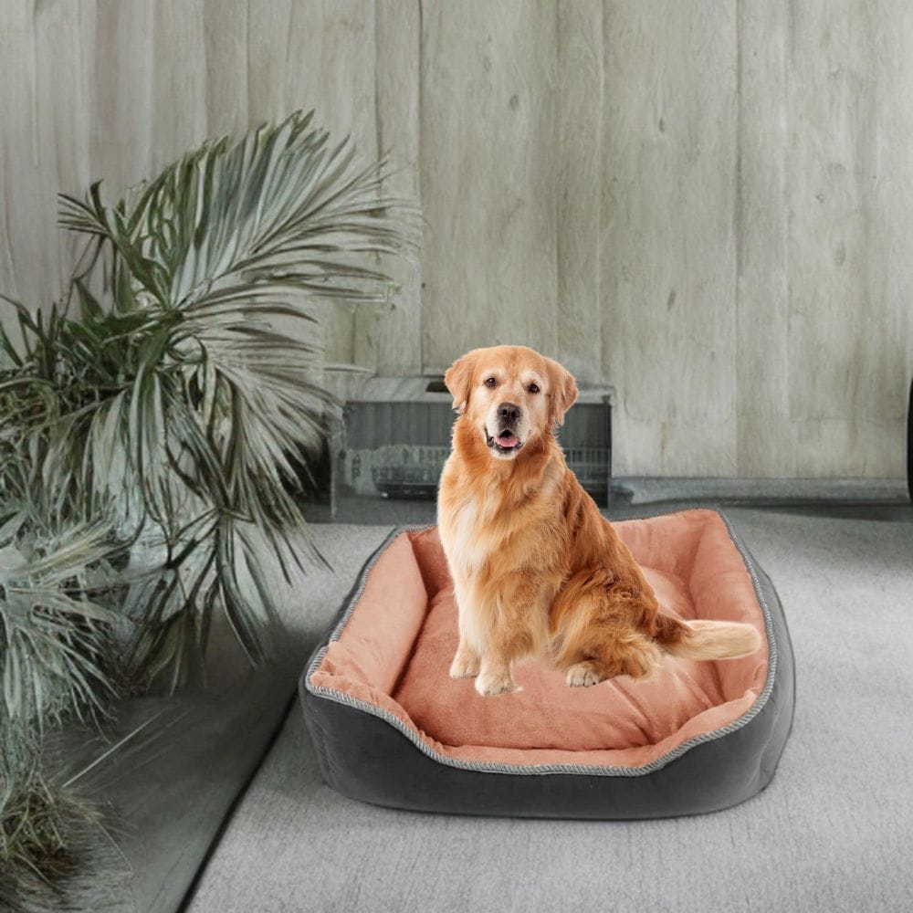 FLOOFI Indoor Dog Bed Floofi Pet Sofa Cushion XL (Grey)
