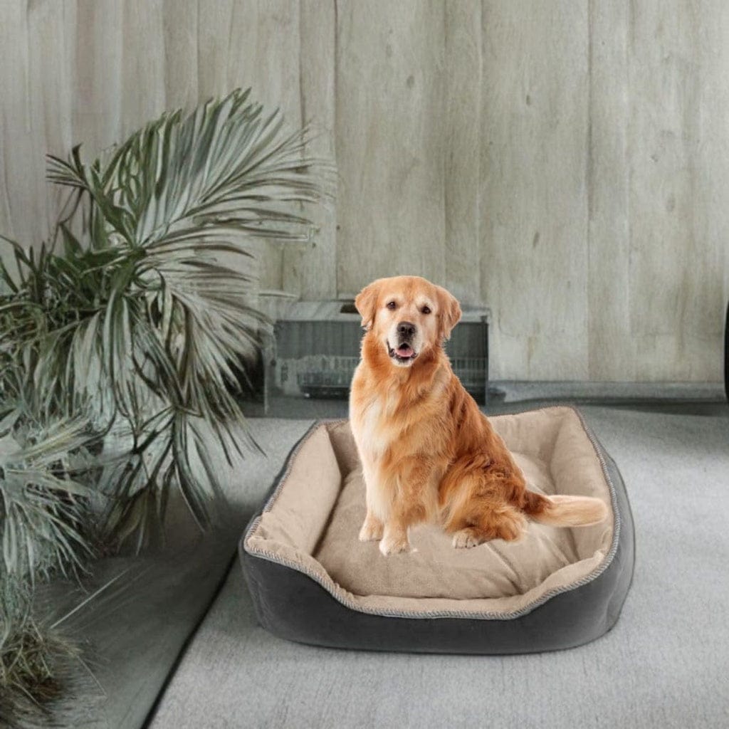 FLOOFI Indoor Dog Bed Floofi Pet Sofa Cushion XXXL (Grey)