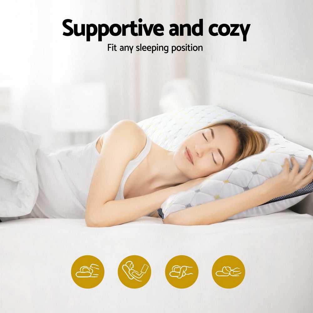 Giselle Pillows/Cushions 2pcs Pillows Microfibre