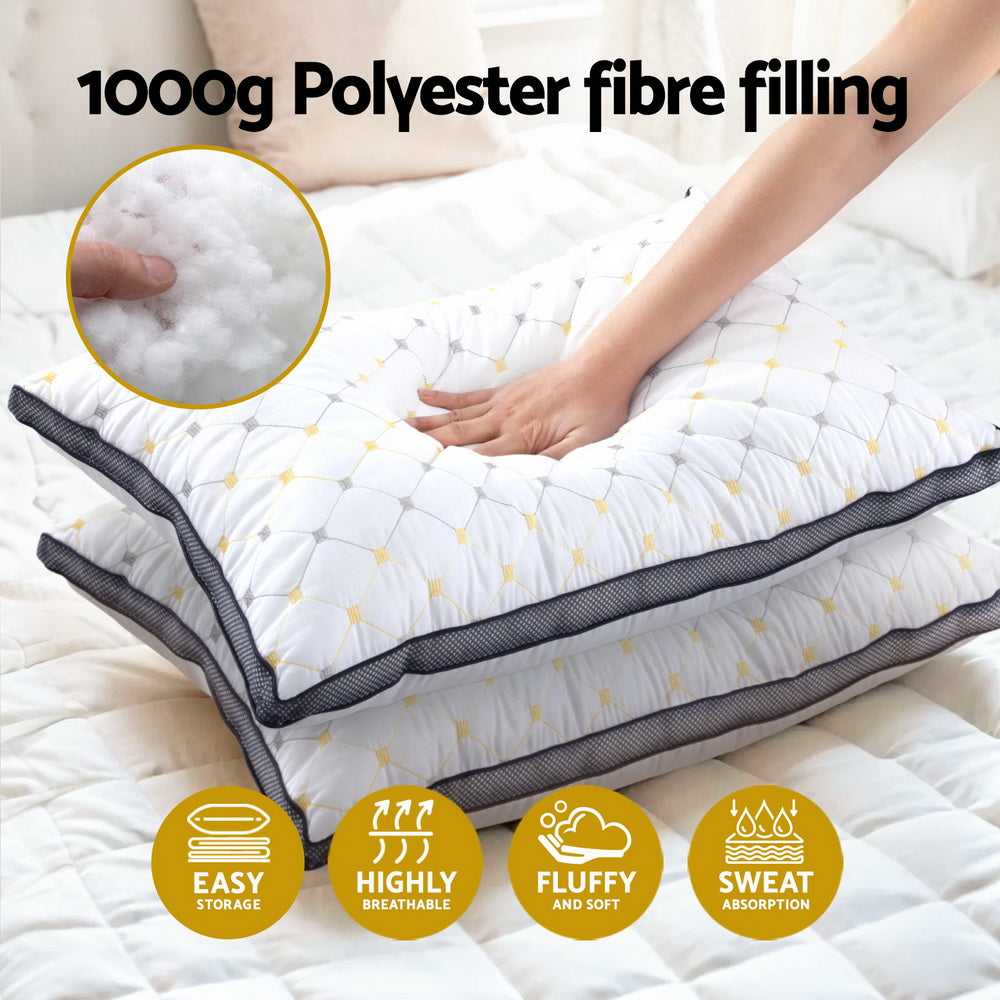 Giselle Pillows/Cushions 2pcs Pillows Microfibre