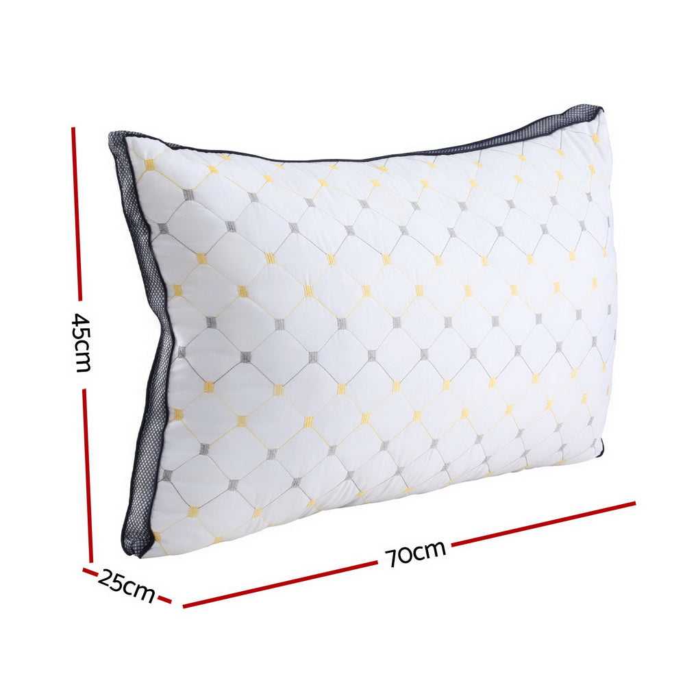 Giselle Pillows/Cushions 2pcs Pillows Microfibre