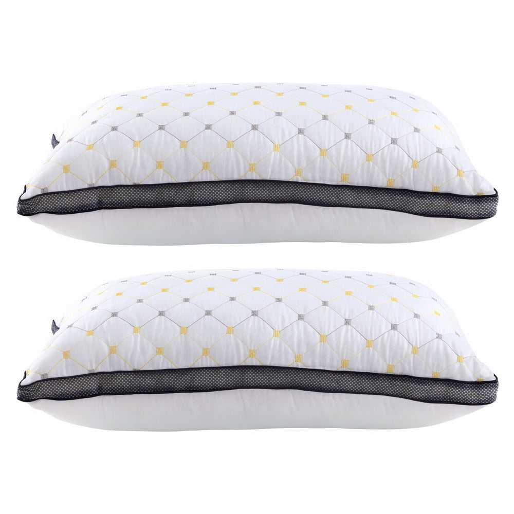 Giselle Pillows/Cushions 2pcs Pillows Microfibre