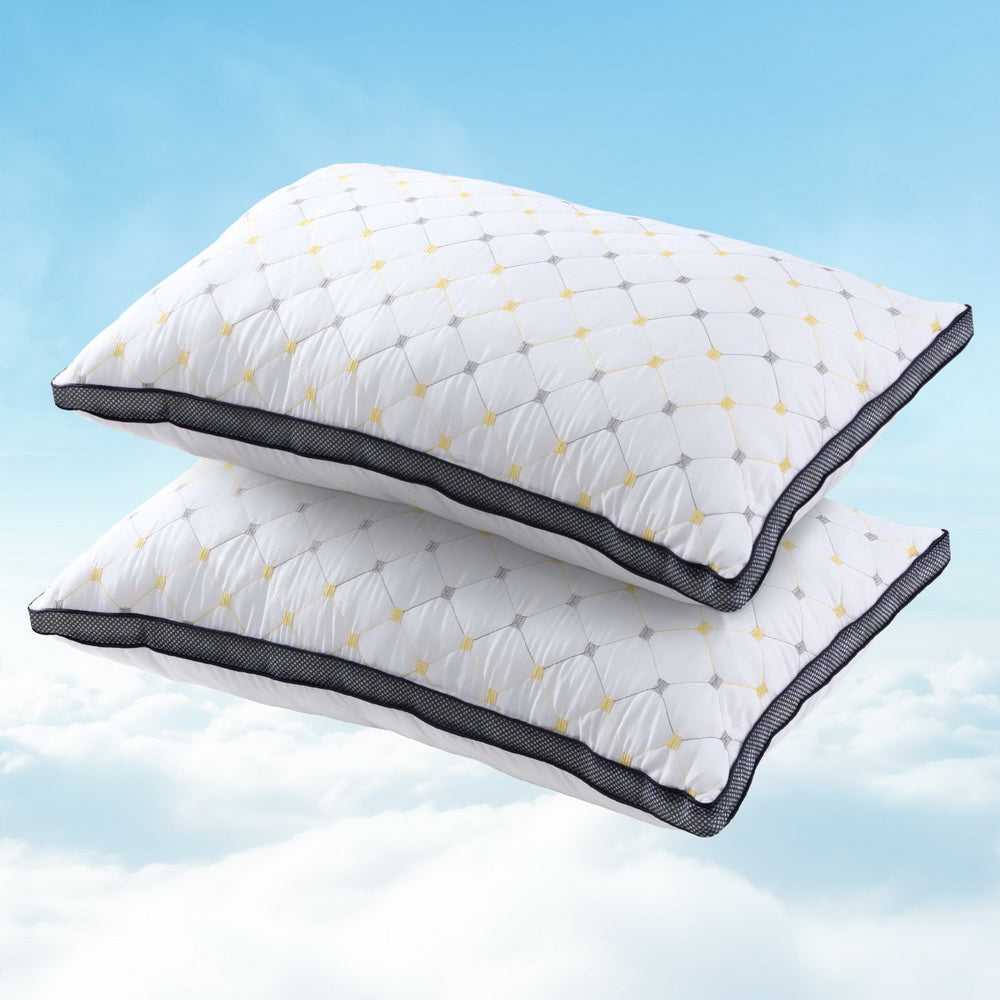 Giselle Pillows/Cushions 2pcs Pillows Microfibre