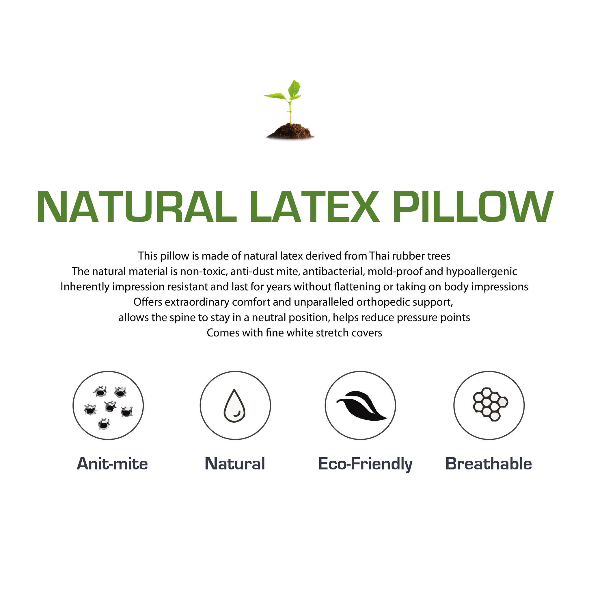 Luxor 100% Natural Talalay Latex Pillow Sleeping Support with Fine White Stretch Cover