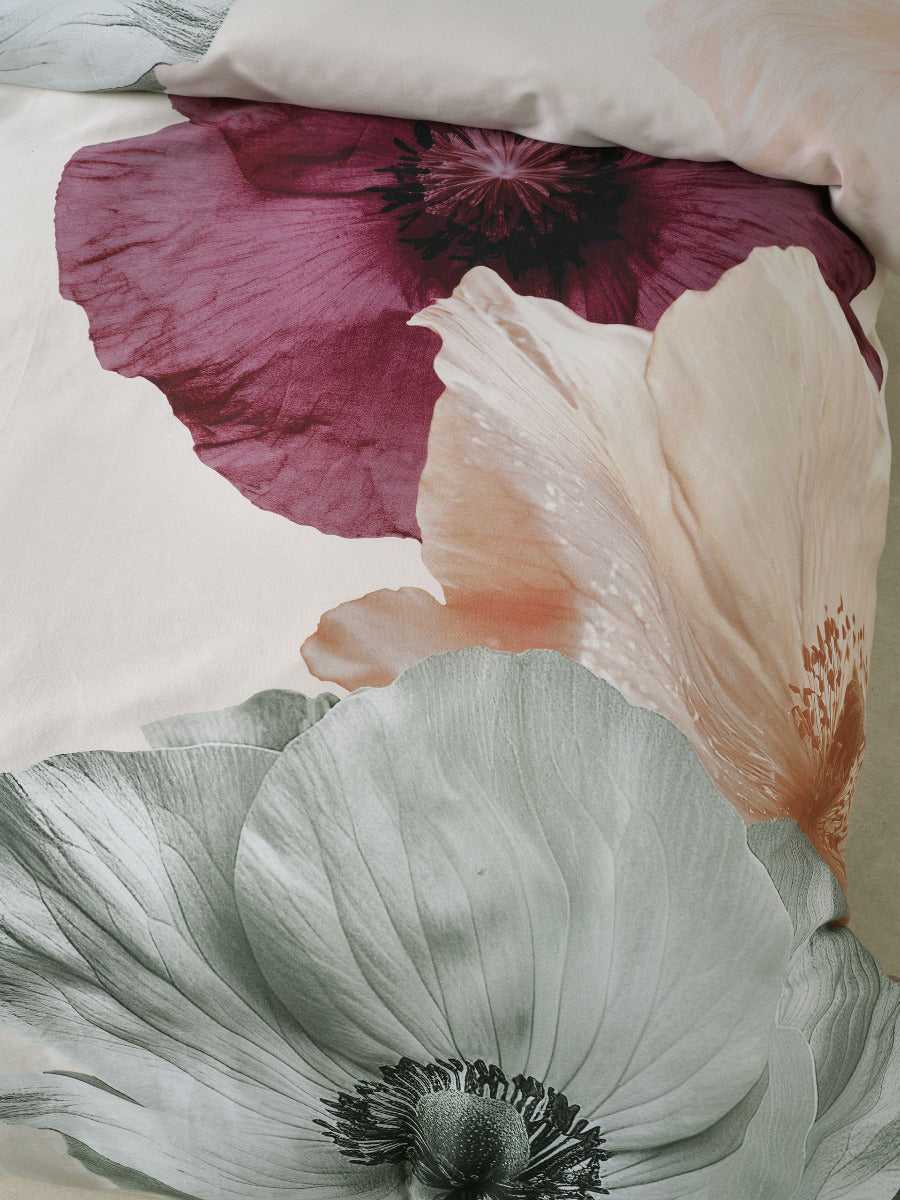 Linen House Quilt Cover LINEN HOUSE ELLIE | BLUSH QUILT COVER SET