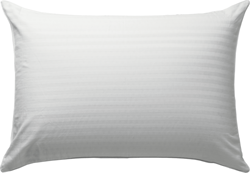 Logan & Mason Pillows/Cushions Logan & Mason HOTEL MICROFIBRE PILLOW