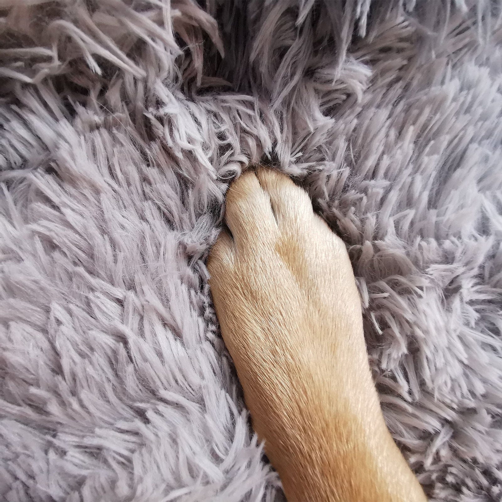 Pawfriends Cat Bed Pawfriends Dog Cat Pet Calming Bed Washable ZIPPER Cover Warm Soft Plush Round Sleeping 120cm