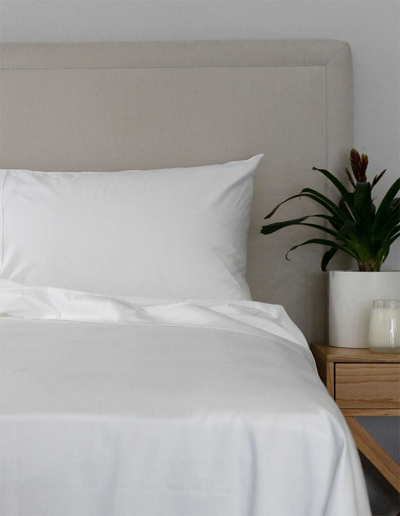 Protect A Bed Bed Sheets Cumulus Cotton Flat Sheet White