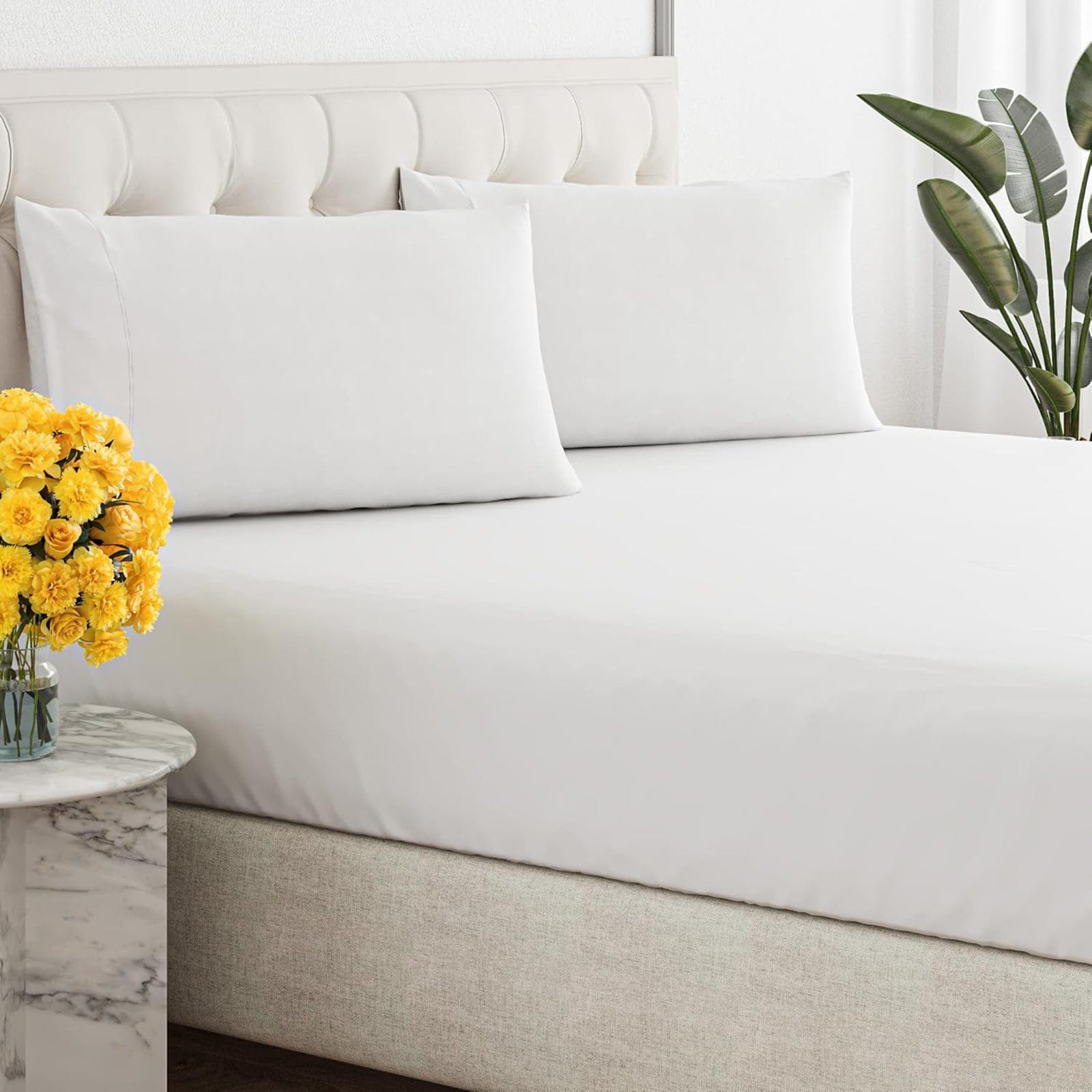 Renee Taylor Bed Sheets 300 Thread Count 100% Organic Cotton Fitted and Pillow Case Set  - White