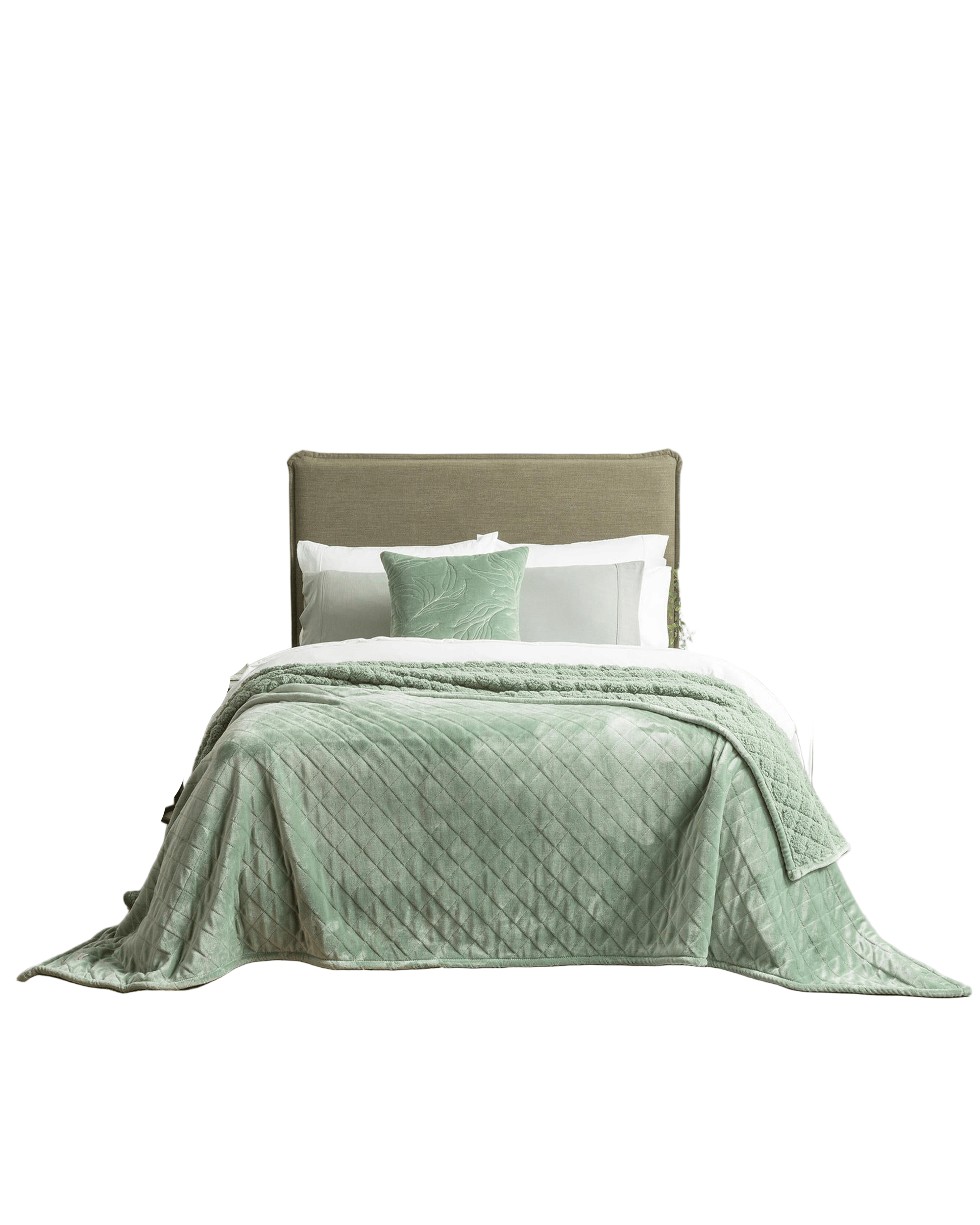 Renee Taylor Blanket Heston 480 GSM Ultra Soft Velvet Sherpa Blanket - EUCALYPTUS