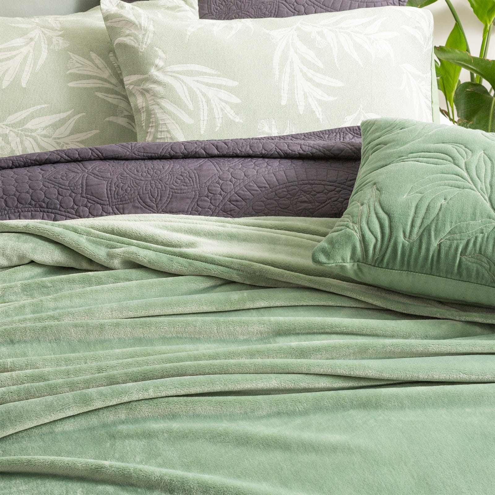 Renee Taylor Blanket Plush 380 GSM Ultra Soft Velvet Blanket - EUCALYPTUS