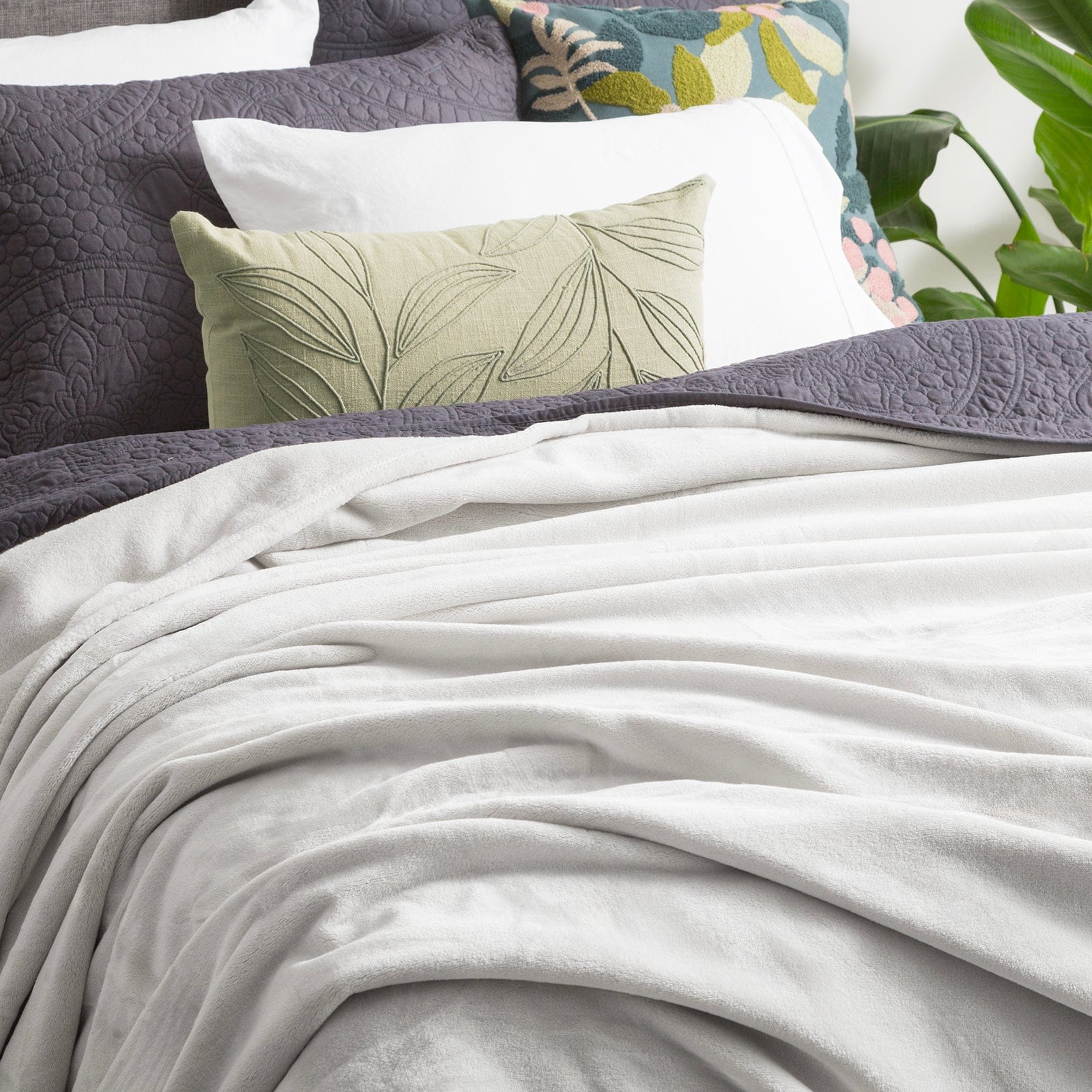Renee Taylor Blanket Plush 380 GSM Ultra Soft Velvet Blanket - SILVER LINE