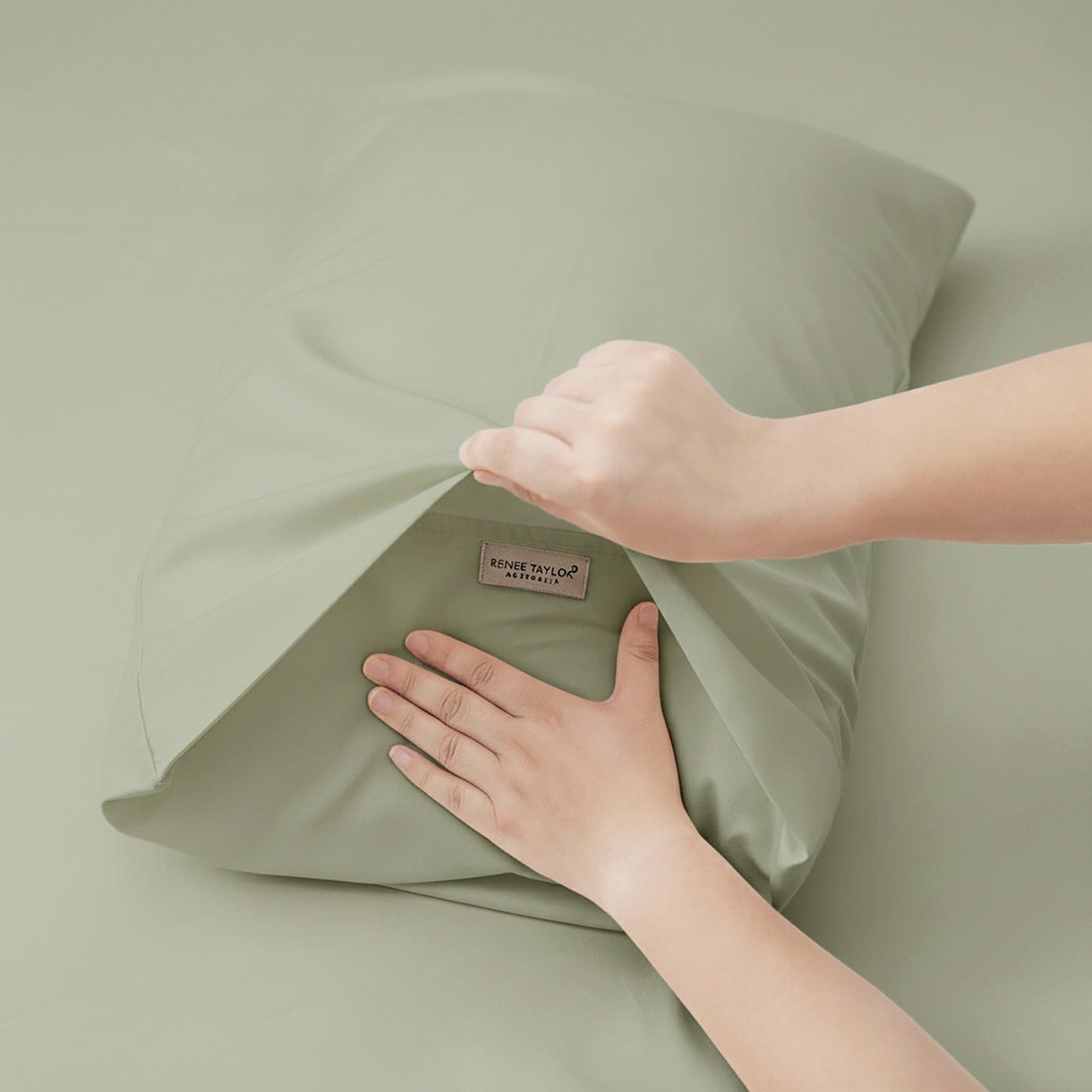 Renee Taylor Bed Sheets Renee Taylor 400 Thread Count Egyptian Cotton Fitted and Pillow Case Set Basil