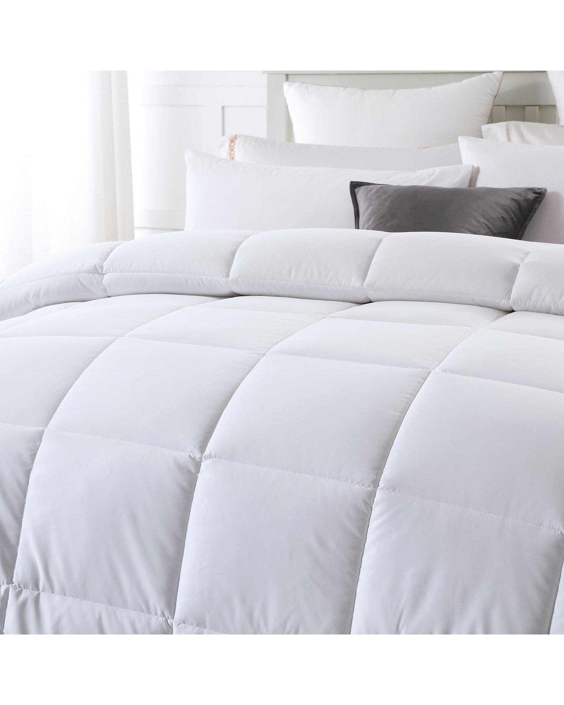 Royal Comfort Duvet/Quilt Royal Comfort 260GSM Deluxe Eco-Silk Touch Quilt