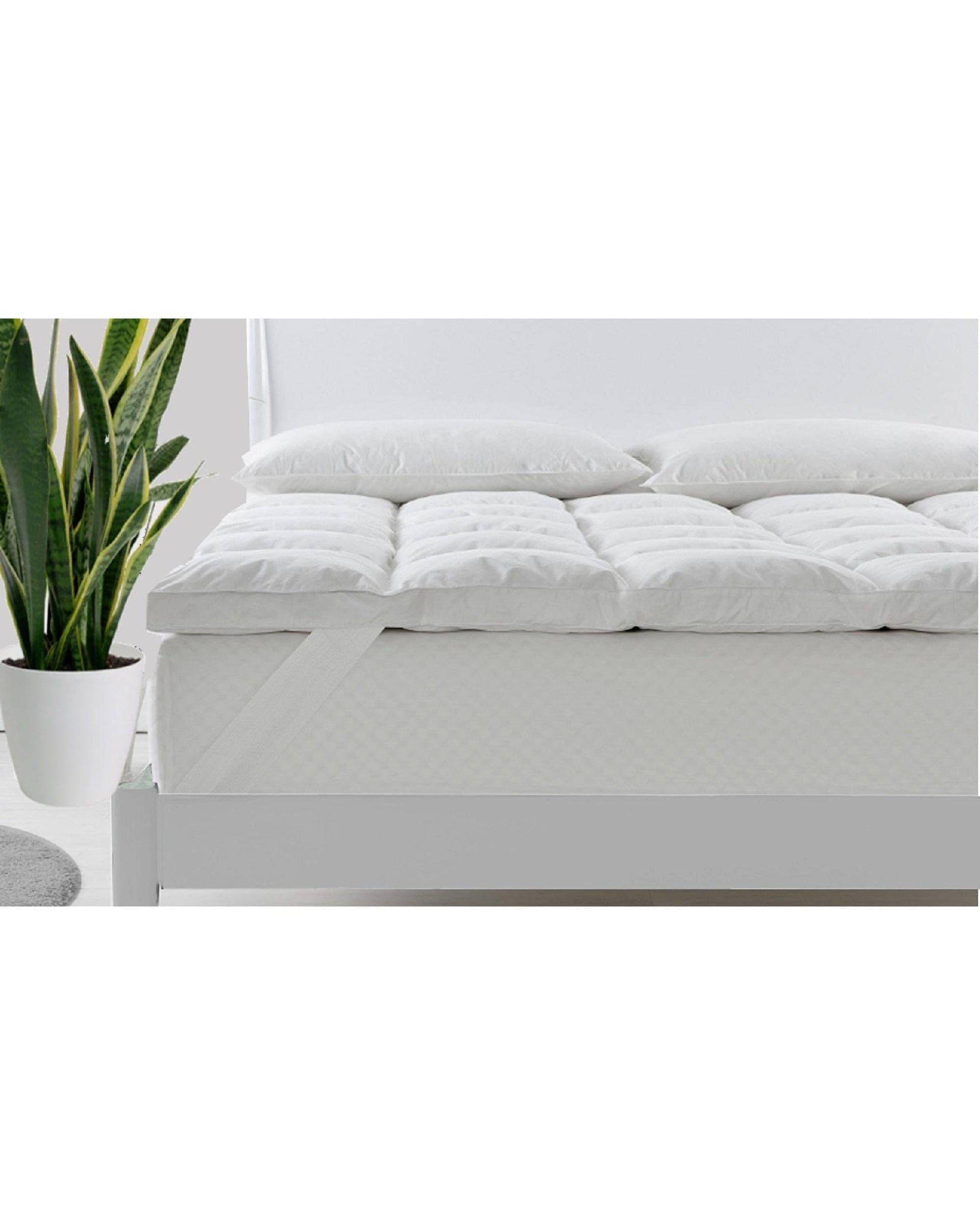 Royal Comfort Mattress Topper Royal Comfort Duck Feather and Down Mattress Topper 1800GSM Pillowtop Underlay