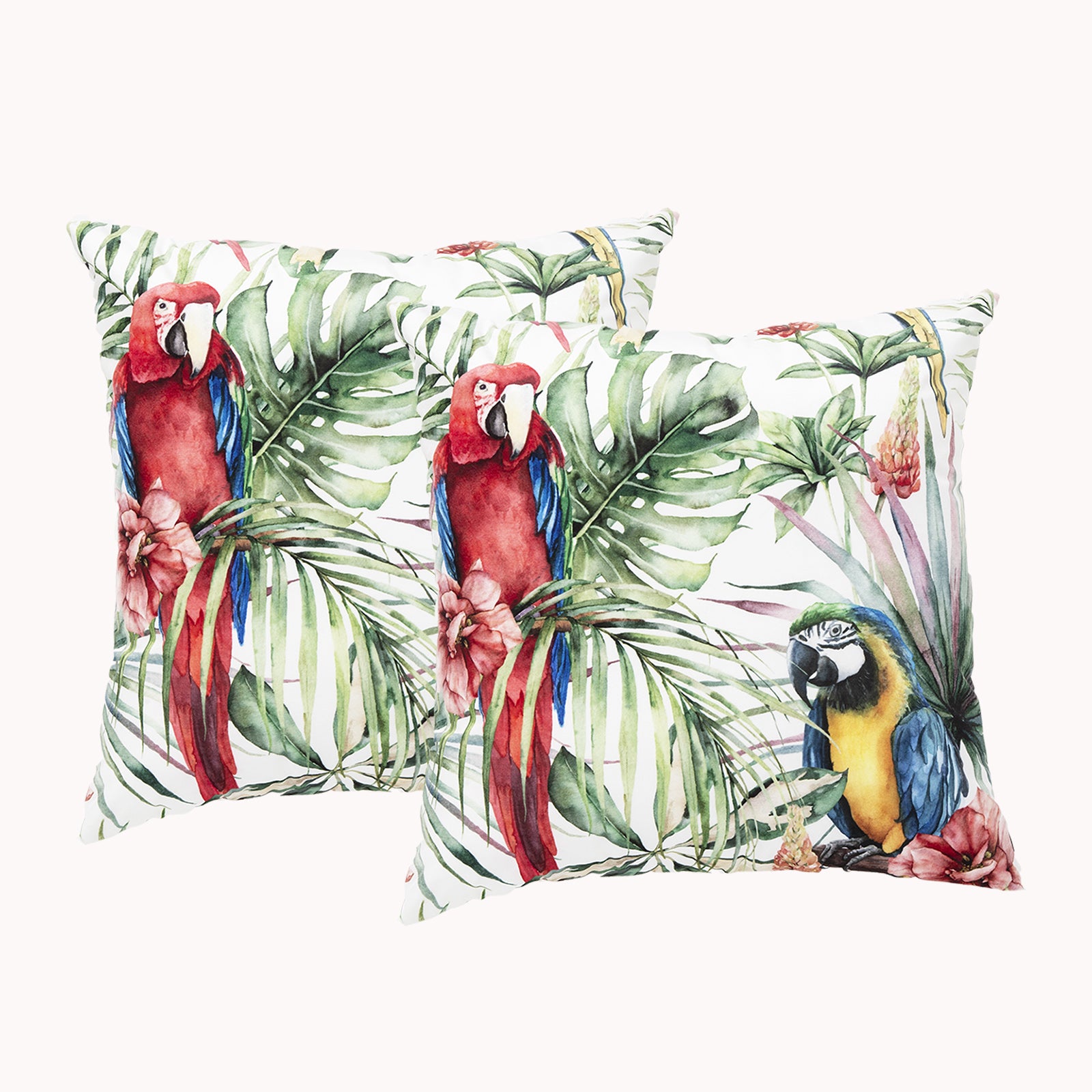 Renee Taylor Poly Velvet Printed Cushion filled 50 x 50 Cms  Tropical- Twin Pack Renee Taylor