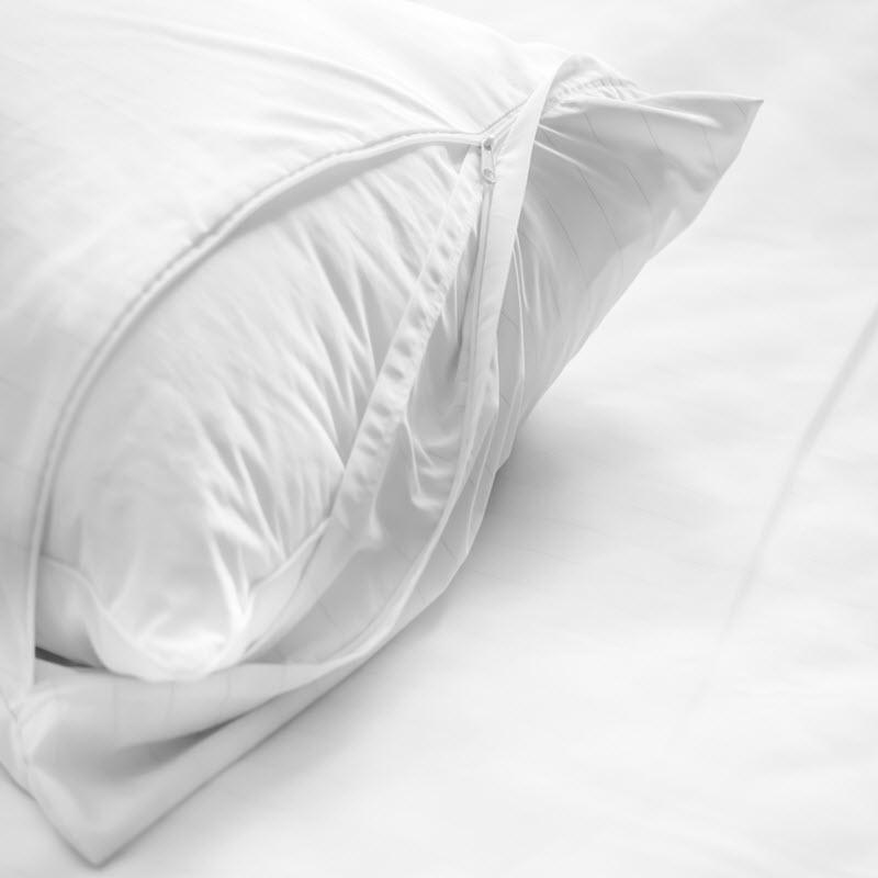 Kelly & Windsor Alpaca & Bamboo Pillow - TWIN PACK Kelly & Windsor