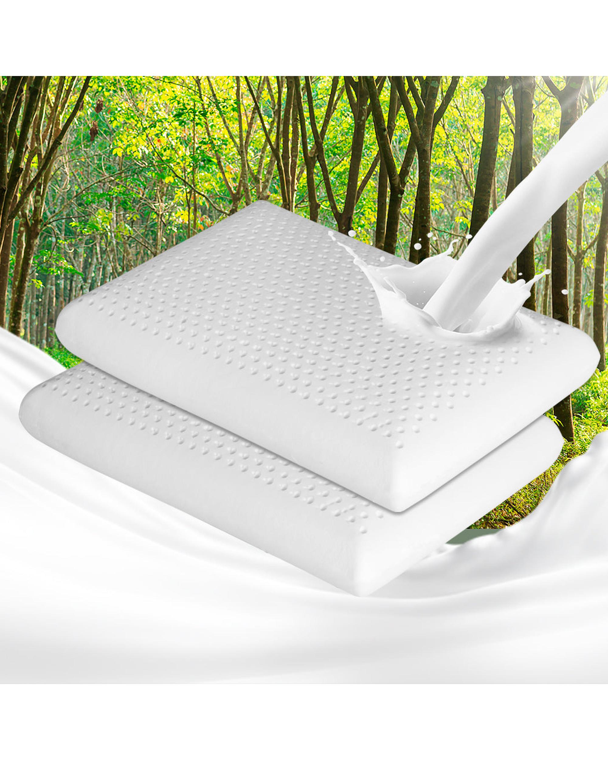 2x Natural Latex Pillow Removable Cover Memory Down Luxurious Soft Dreamz