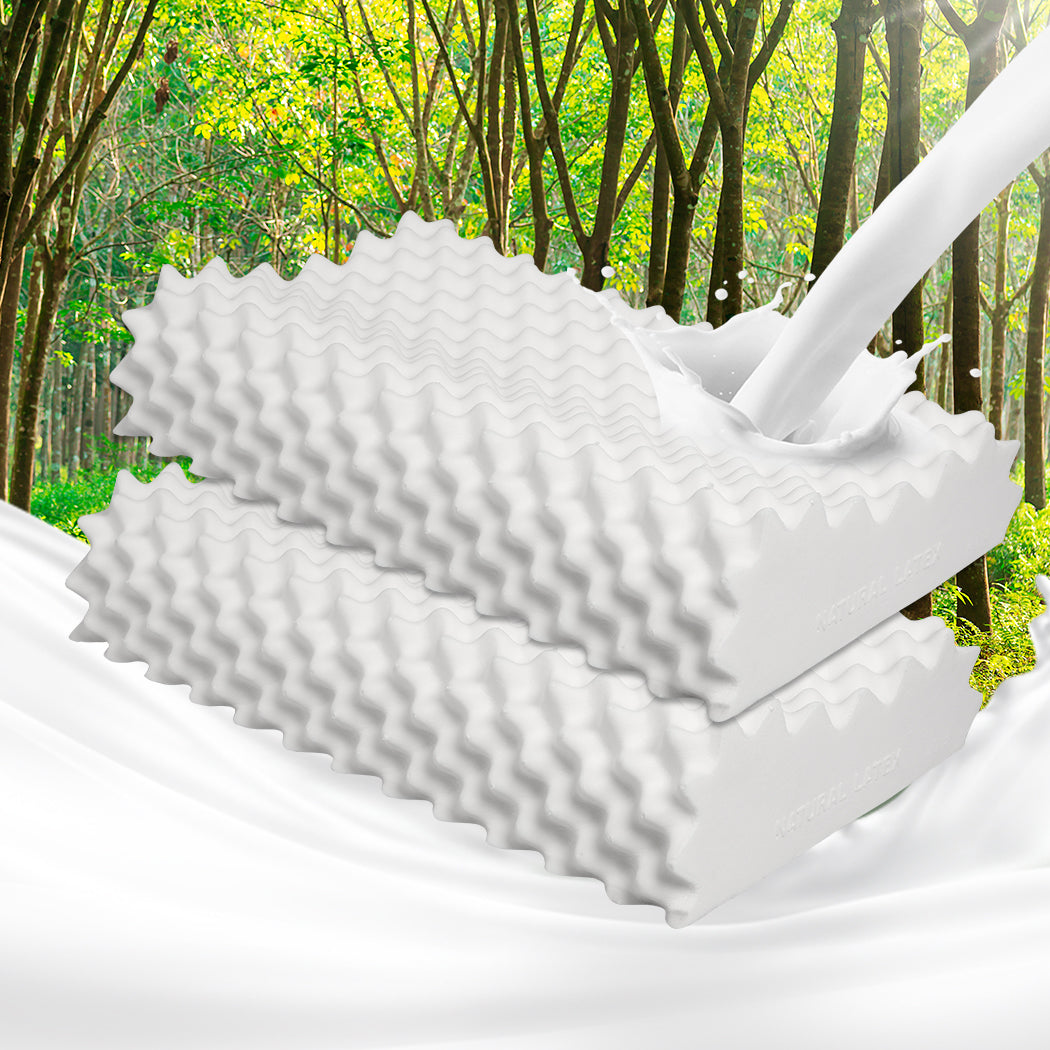 2x Natural Latex Pillow Removable Cover Memory Down Egg-crate Dreamz