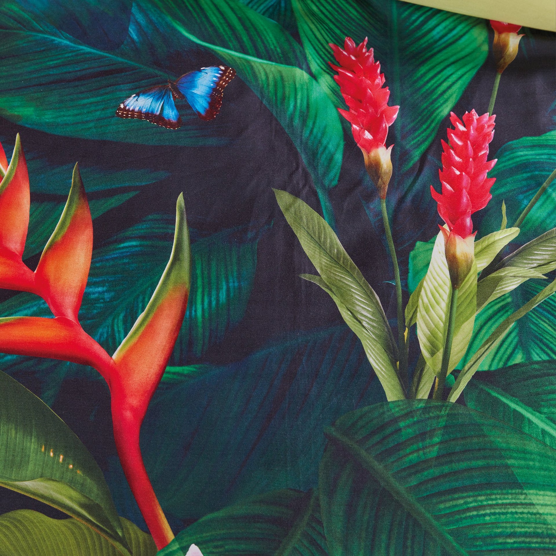 Bedding House Tropical Treasure Green Sateen Quilt Cover Set Bedding House