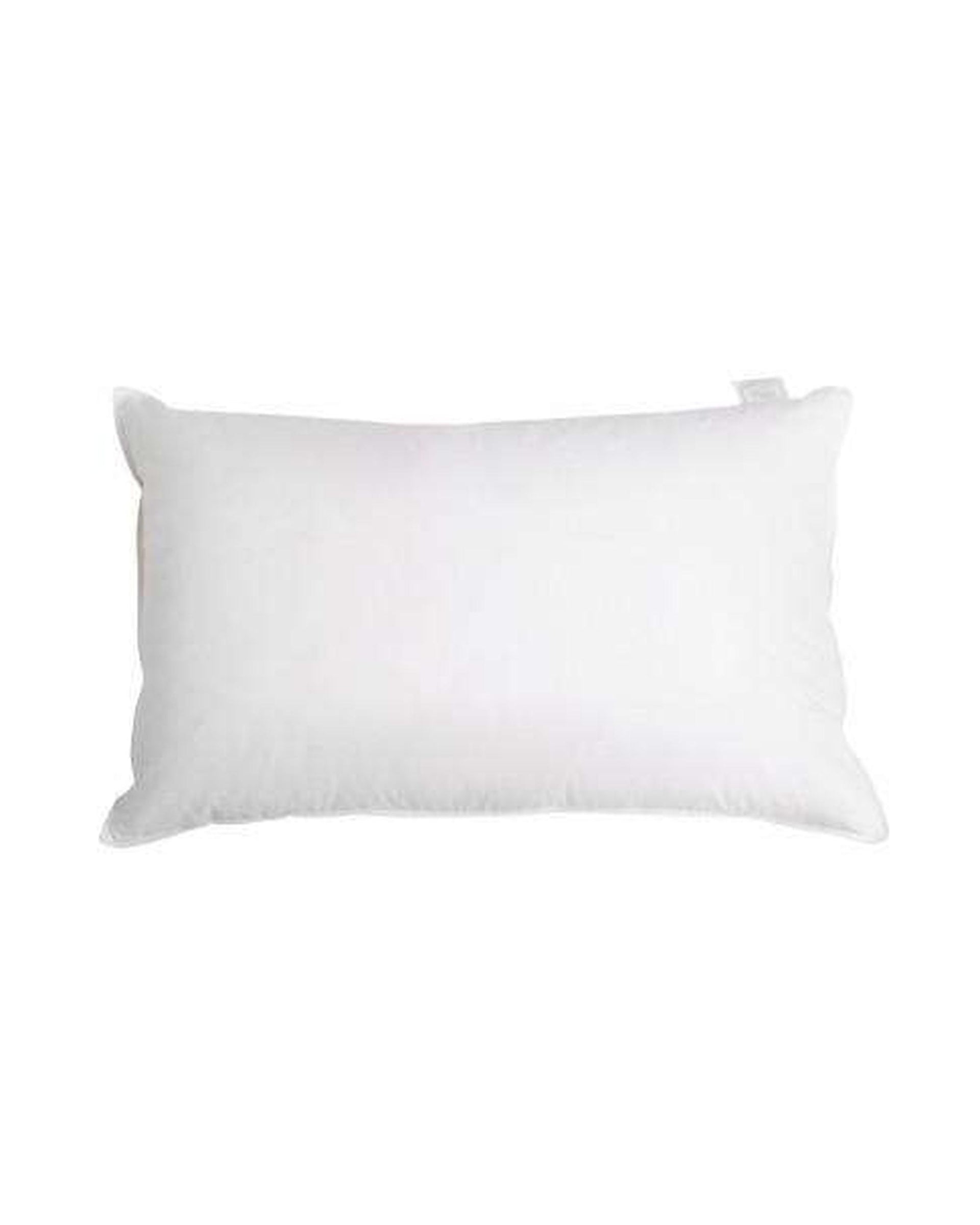 Set of 2 Goose Feather and Down Pillow - White Giselle