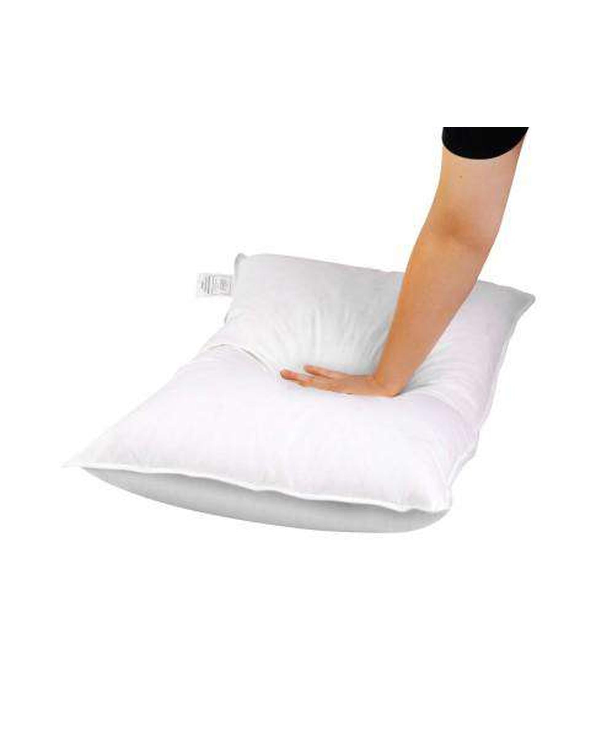 Set of 2 Goose Feather and Down Pillow - White Giselle