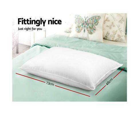 Set of 4 Medium & Firm Cotton Pillows Giselle