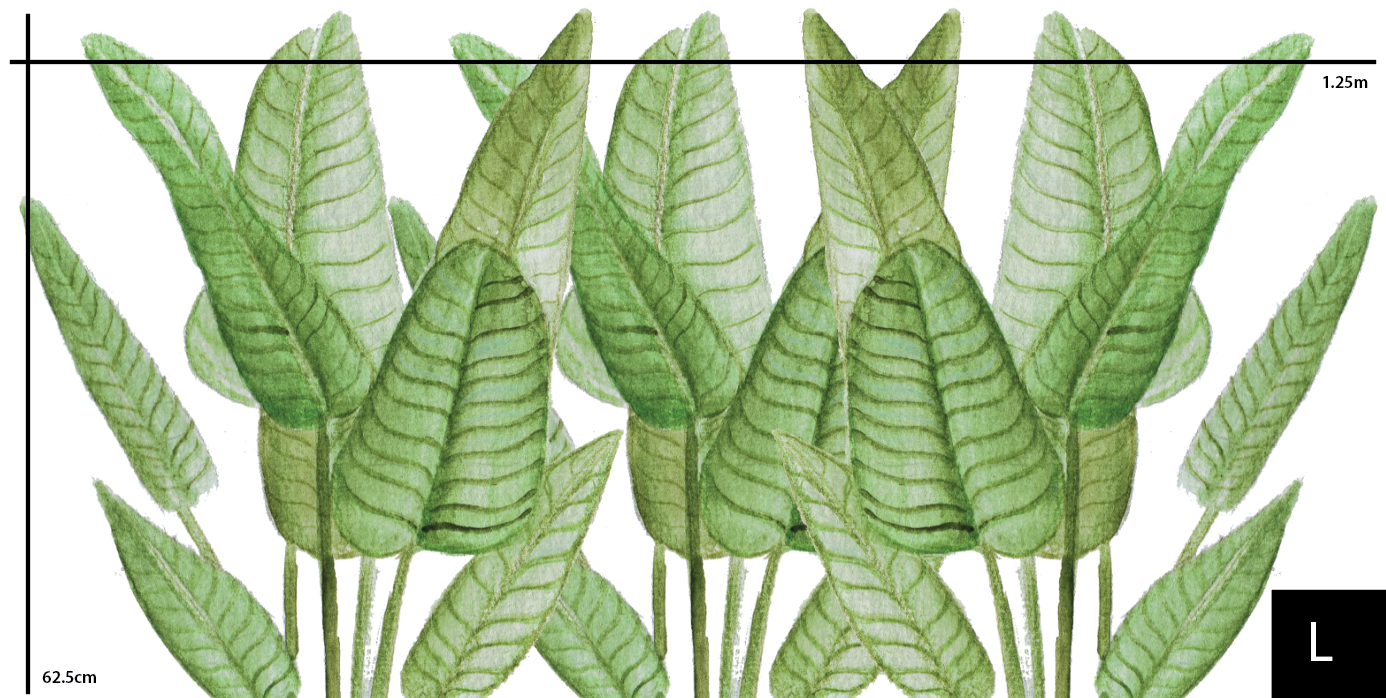 Wild Ferns Polka Art Prints