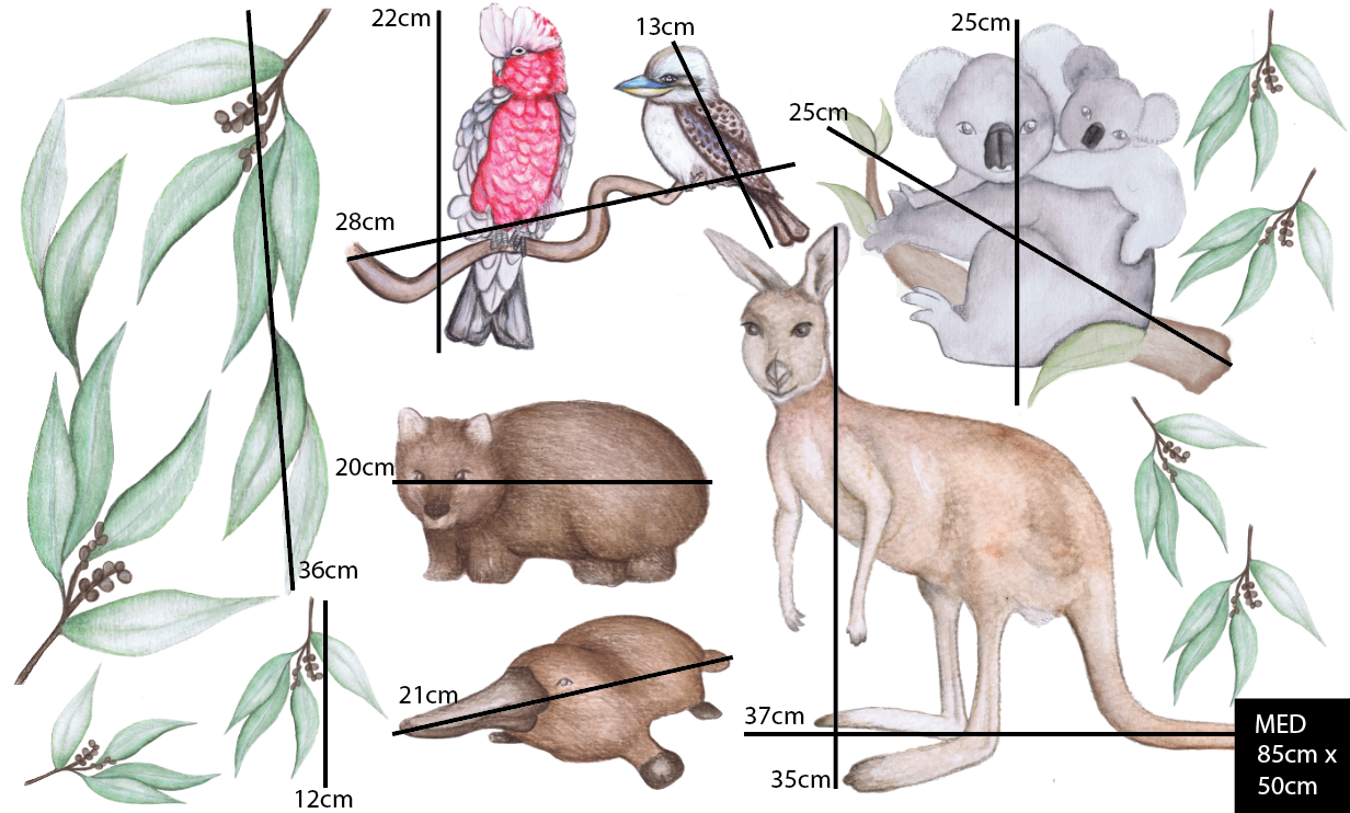 Kids Australian animal wall Decal