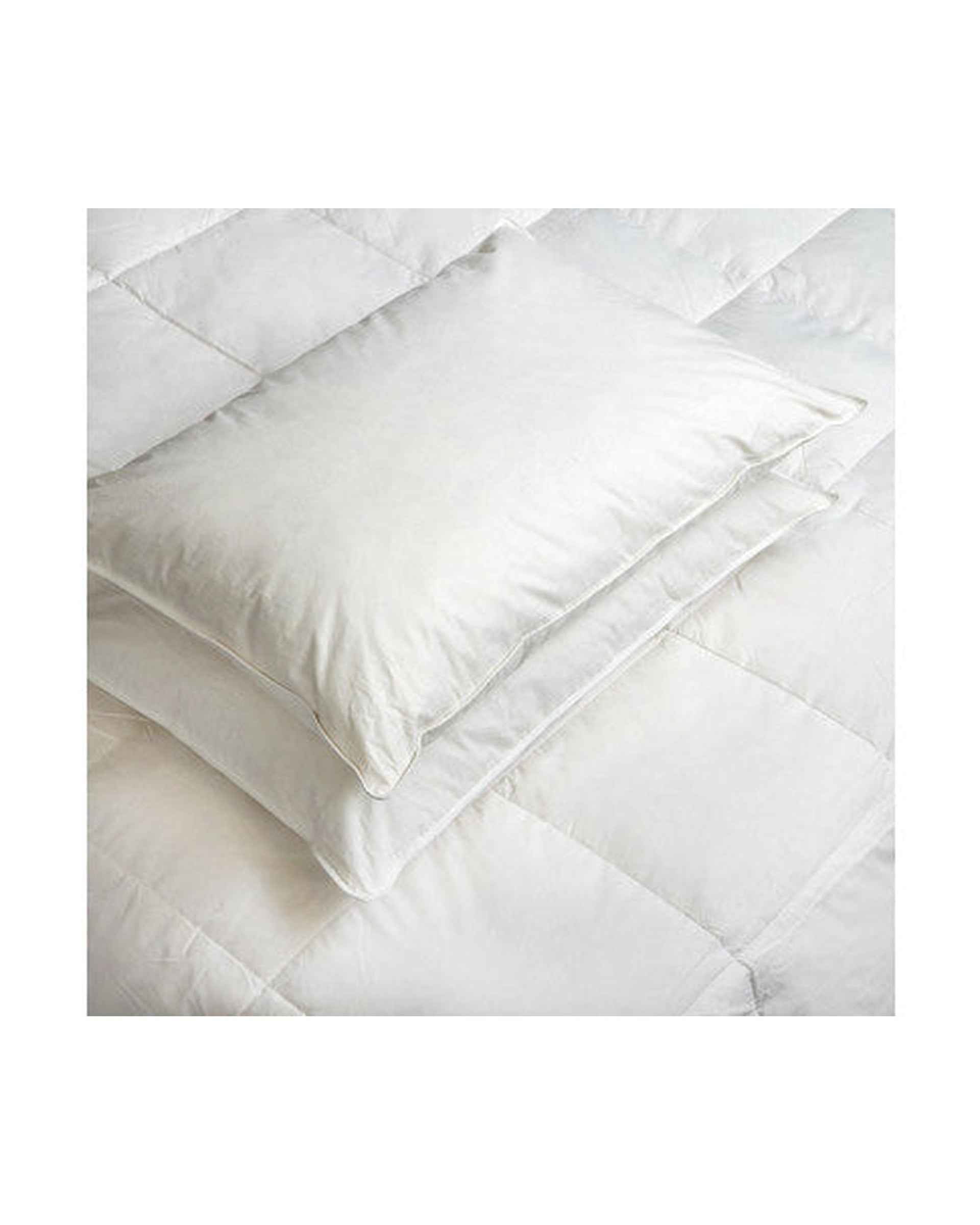 Royal Comfort Goose Down Feather Pillows 1000GSM 100% Cotton Cover - Twin Pack 50 x 75 cm White Royal Comfort