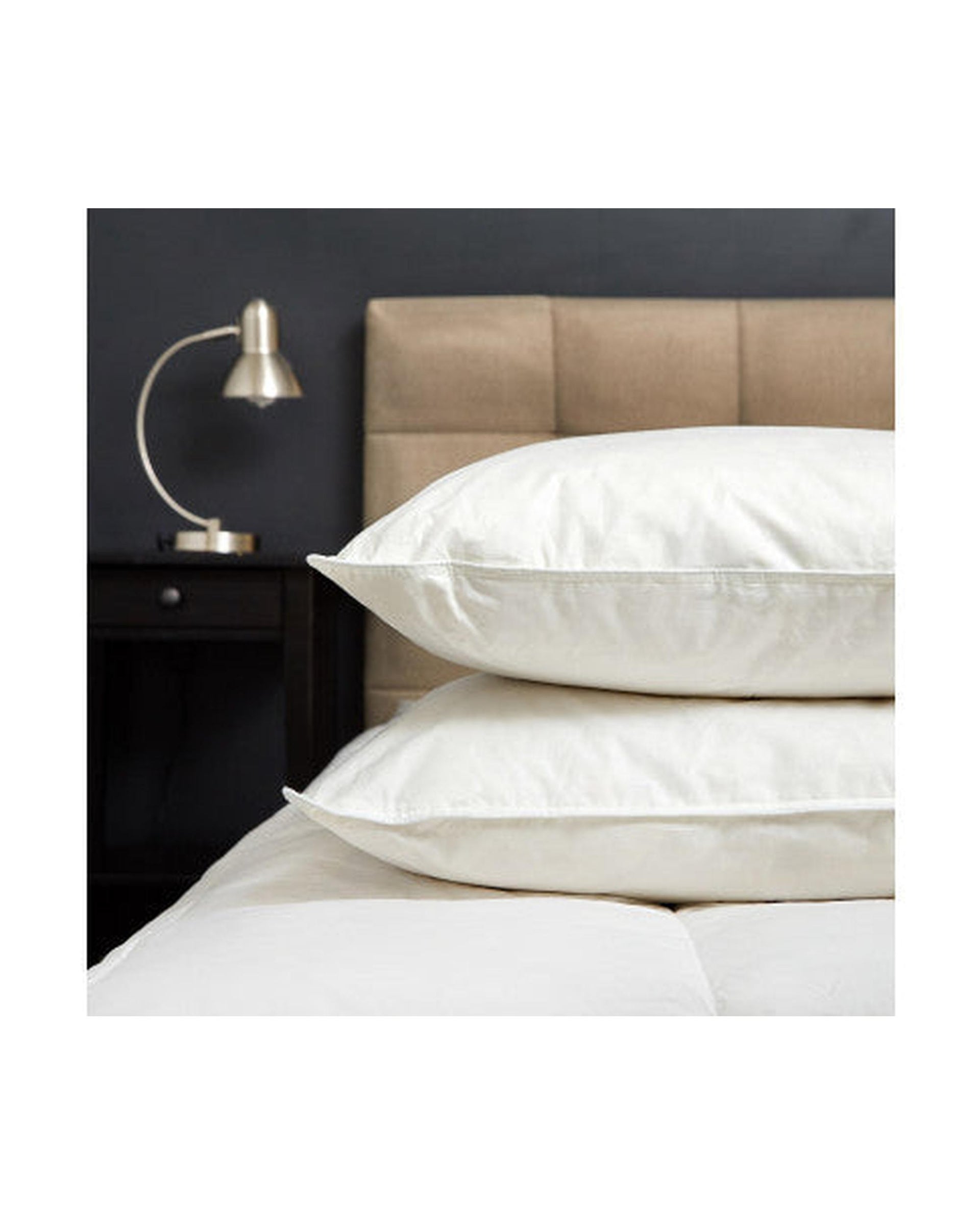 Goose Feather & Down Quilt 500GSM + Goose Feather and Down Pillows 2 Pack Combo Royal Comfort