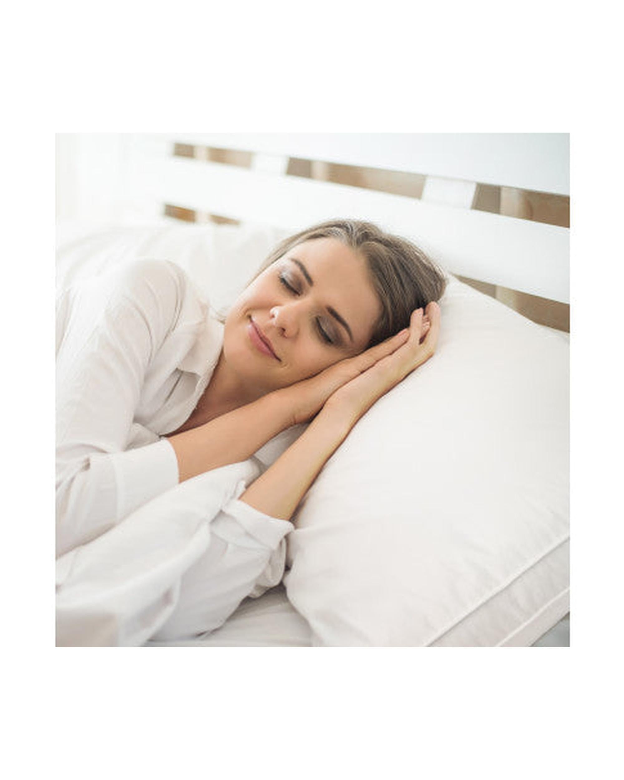 Royal Comfort Cotton Cover 233TC Microfibre Luxury Signature Hotel Pillow - 4 Pack Royal Comfort