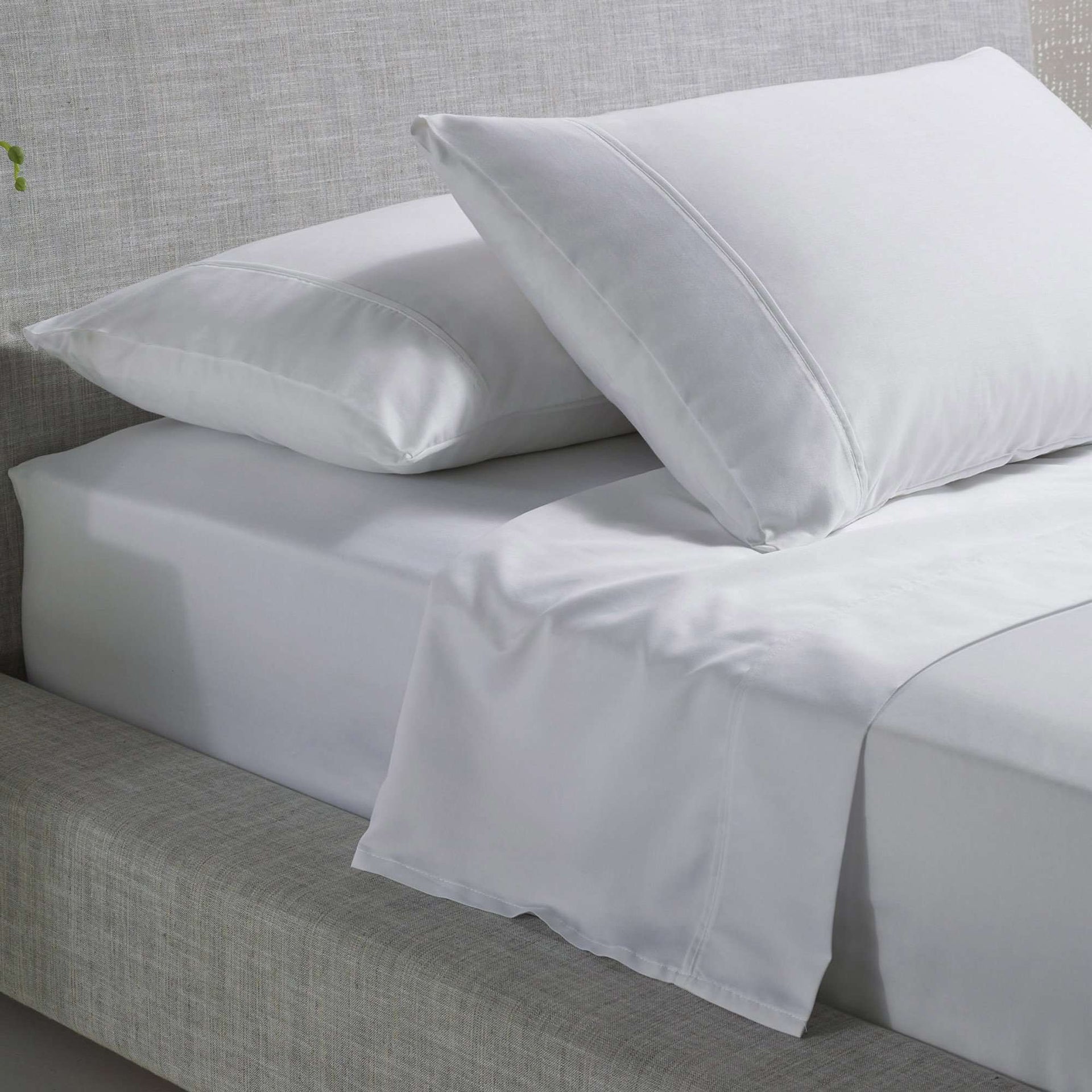 Accessorize Bed Sheets Accessorize 1000TC Cotton Rich Sheet Set - White
