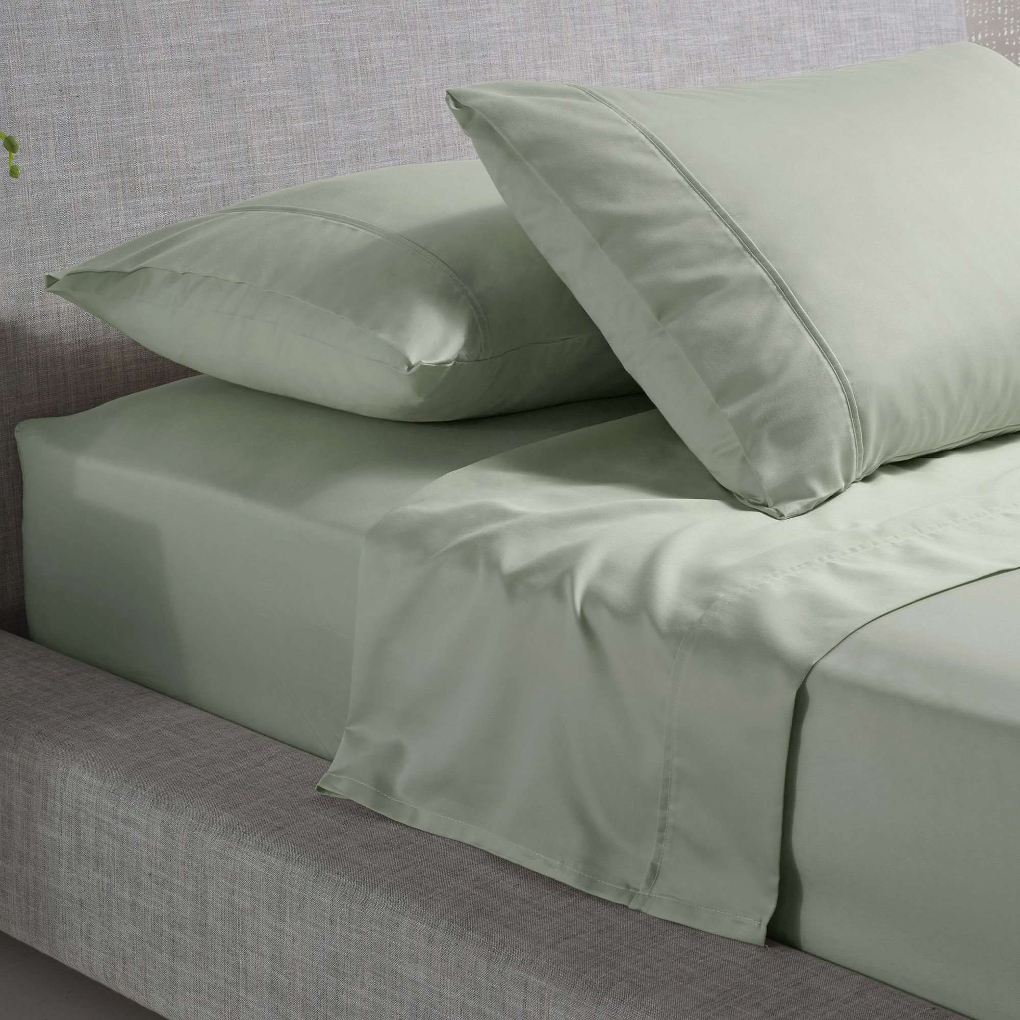 Accessorize Bed Sheets Accessorize Sage 1000TC Sheet Set