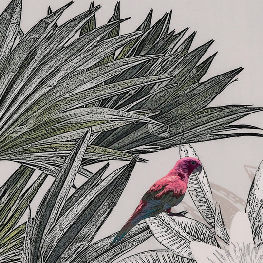 Accessorize Curiosity Quilt Cover Set Range Multi Accessorize