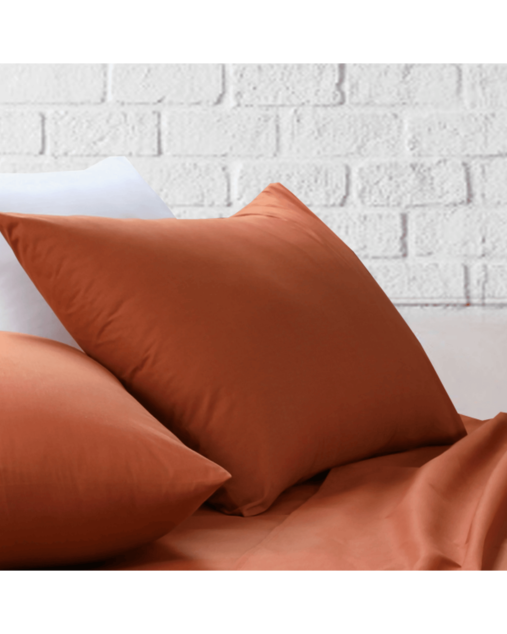 Amsons Bed Sheets Amsons Rust Bedsheets Set- Flat & Fitted Sheets With Pillowcases