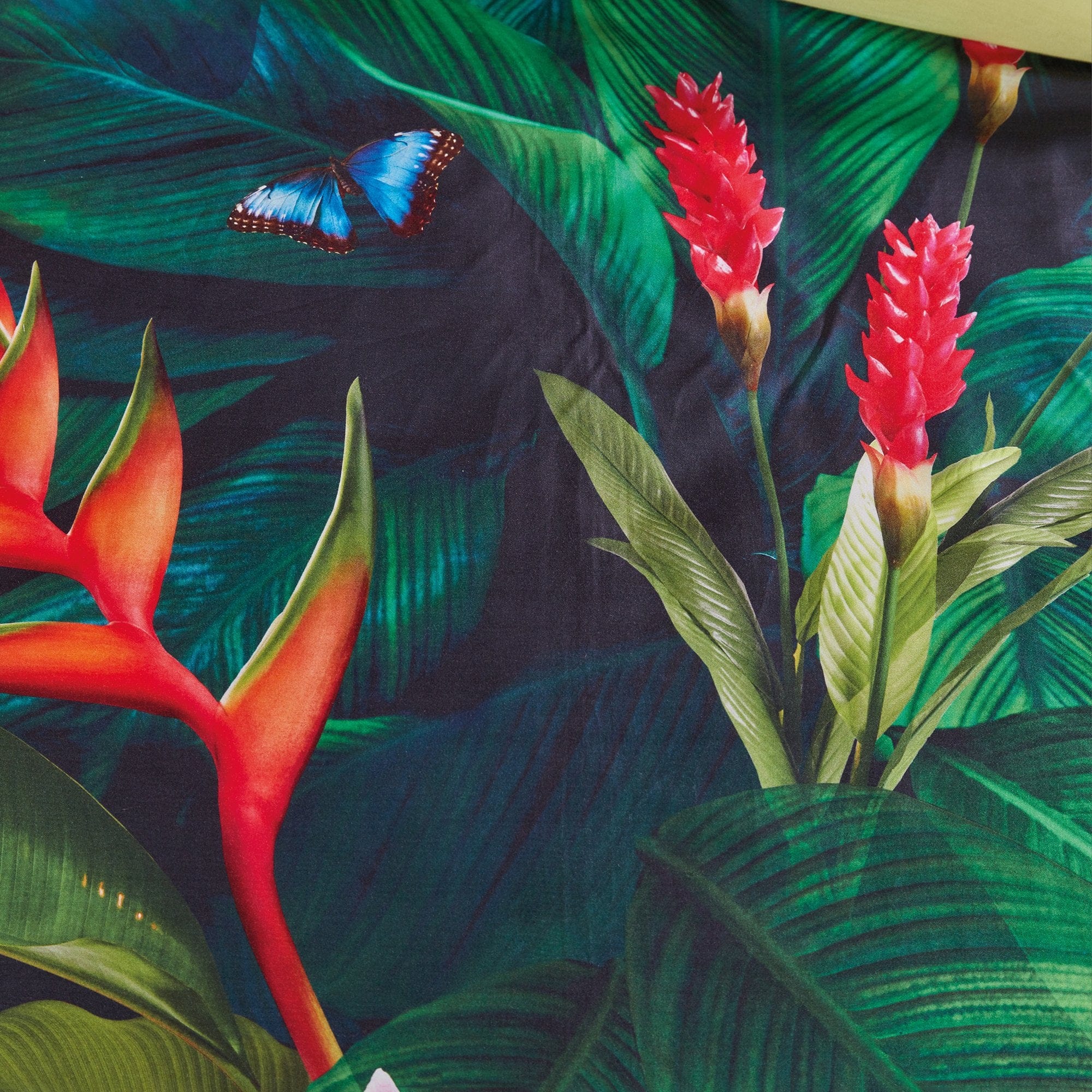 Bedding House Quilt Cover Bedding House Tropical Treasure Green Sateen Quilt Cover Set