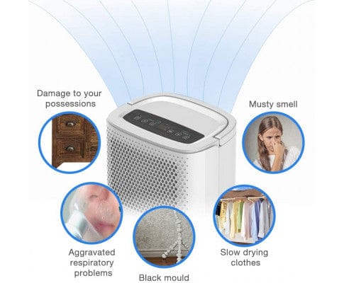 Big Bedding Australia Purifier Shinco SDZ-10L Dehumidifier