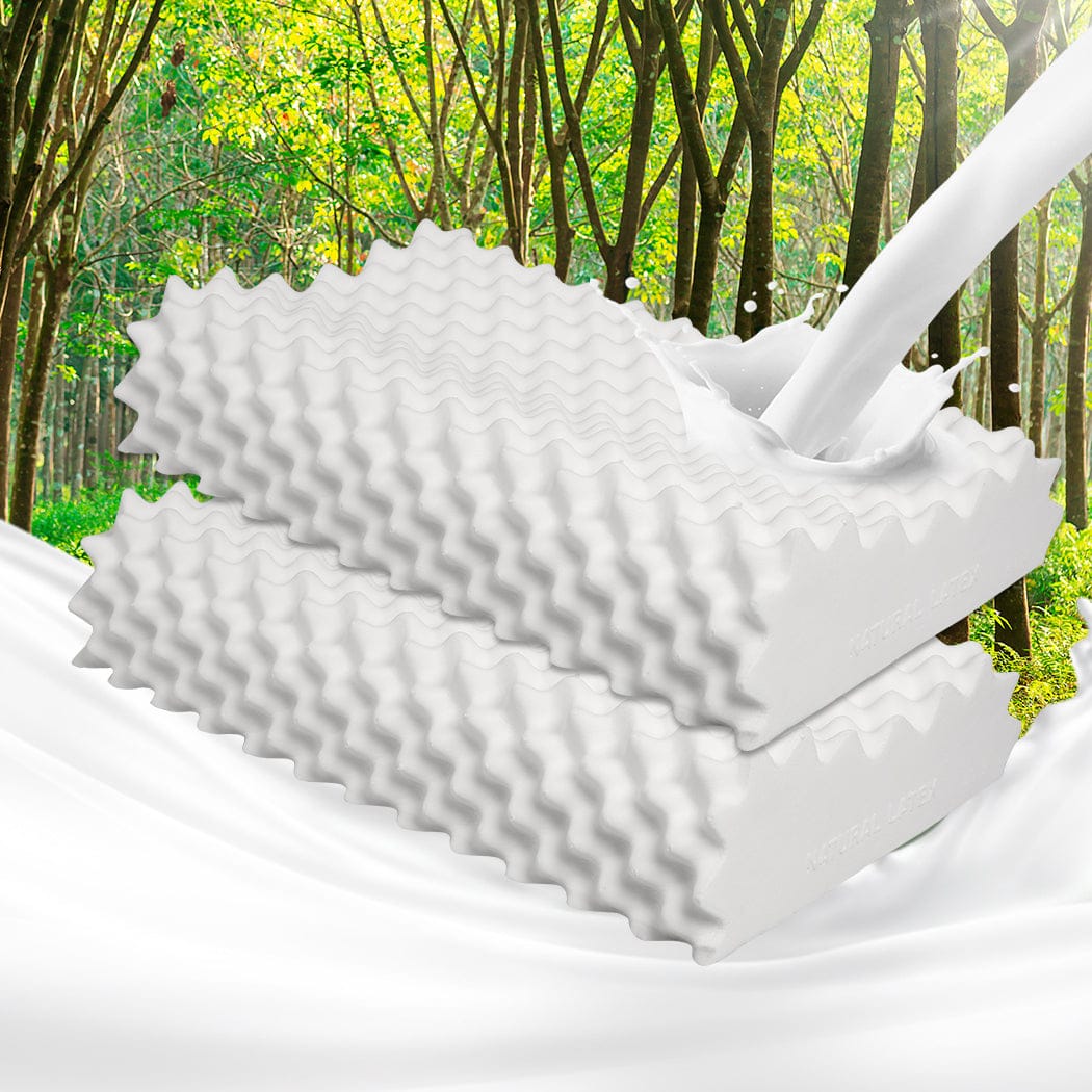 Dreamz Pillows/Cushions 2x Natural Latex Pillow Removable Cover Memory Down Egg-crate