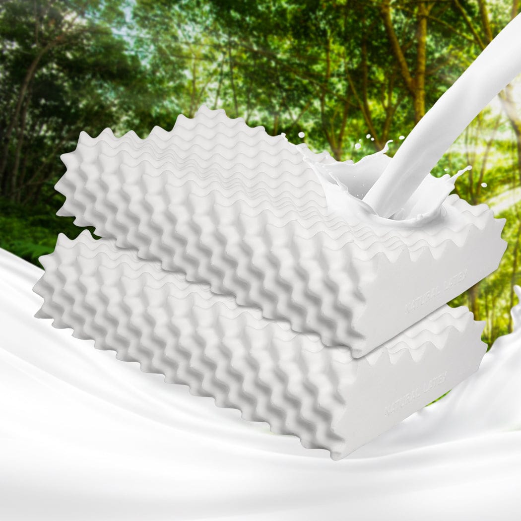 Dreamz Pillows/Cushions 2x Natural Latex Pillow Removable Cover Memory Down Egg-crate