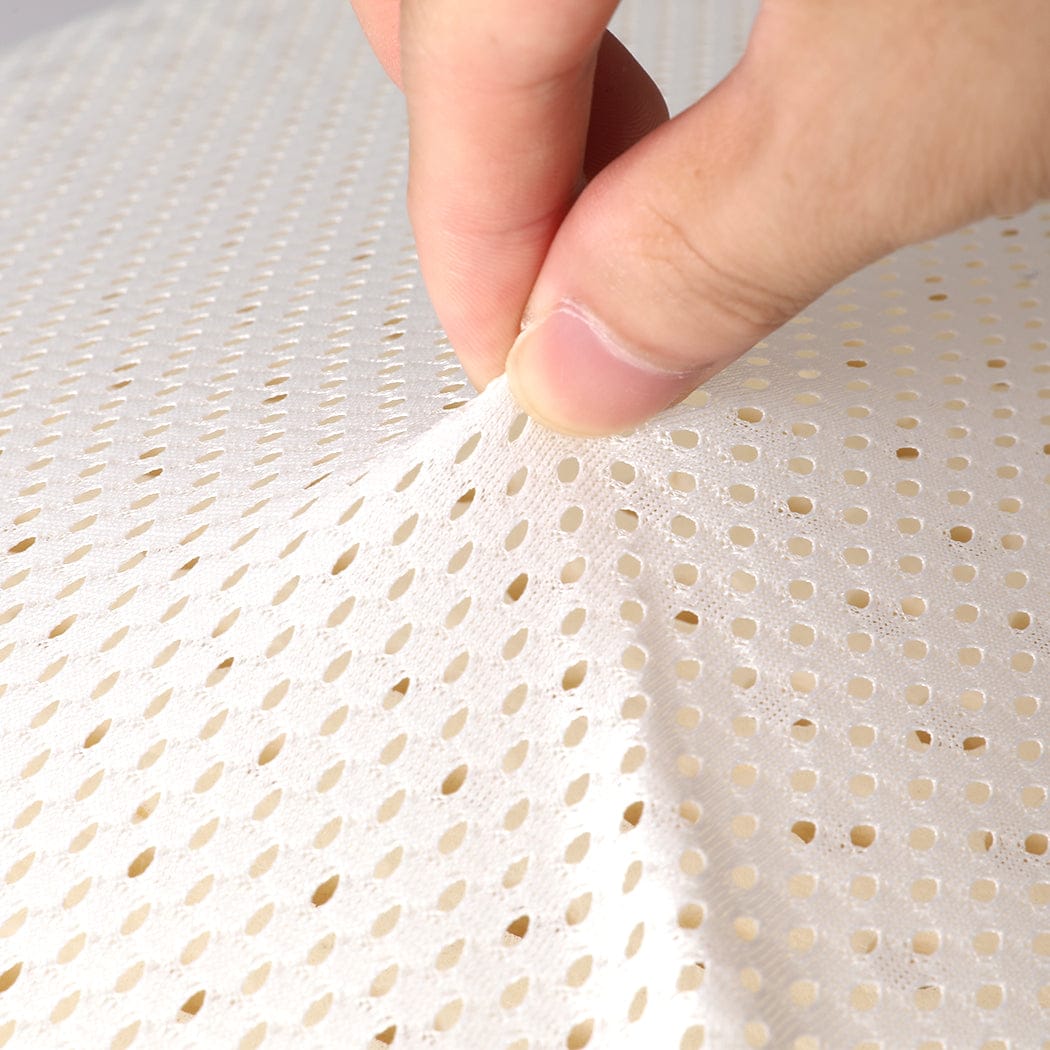 Dreamz Pillows/Cushions 2x Natural Latex Pillow Removable Cover Memory Down Egg-crate