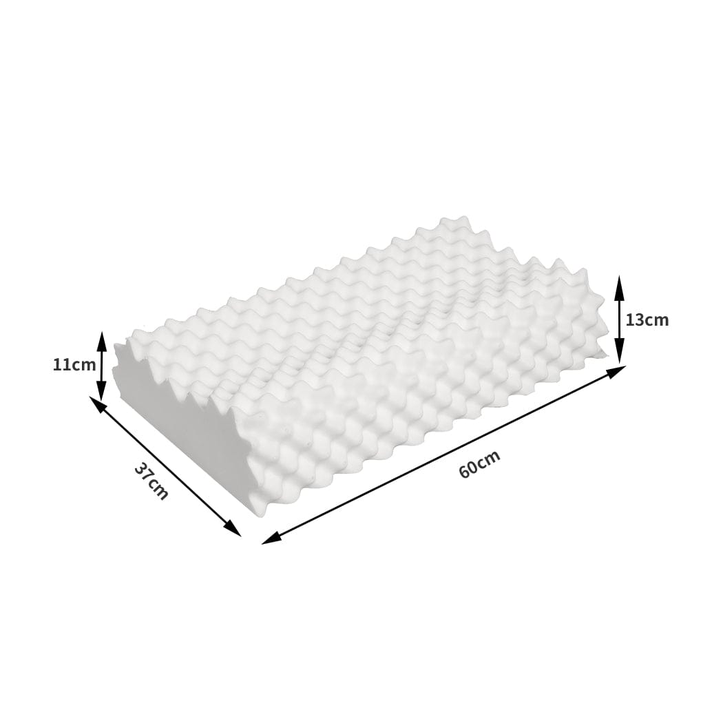 Dreamz Pillows/Cushions 2x Natural Latex Pillow Removable Cover Memory Down Egg-crate