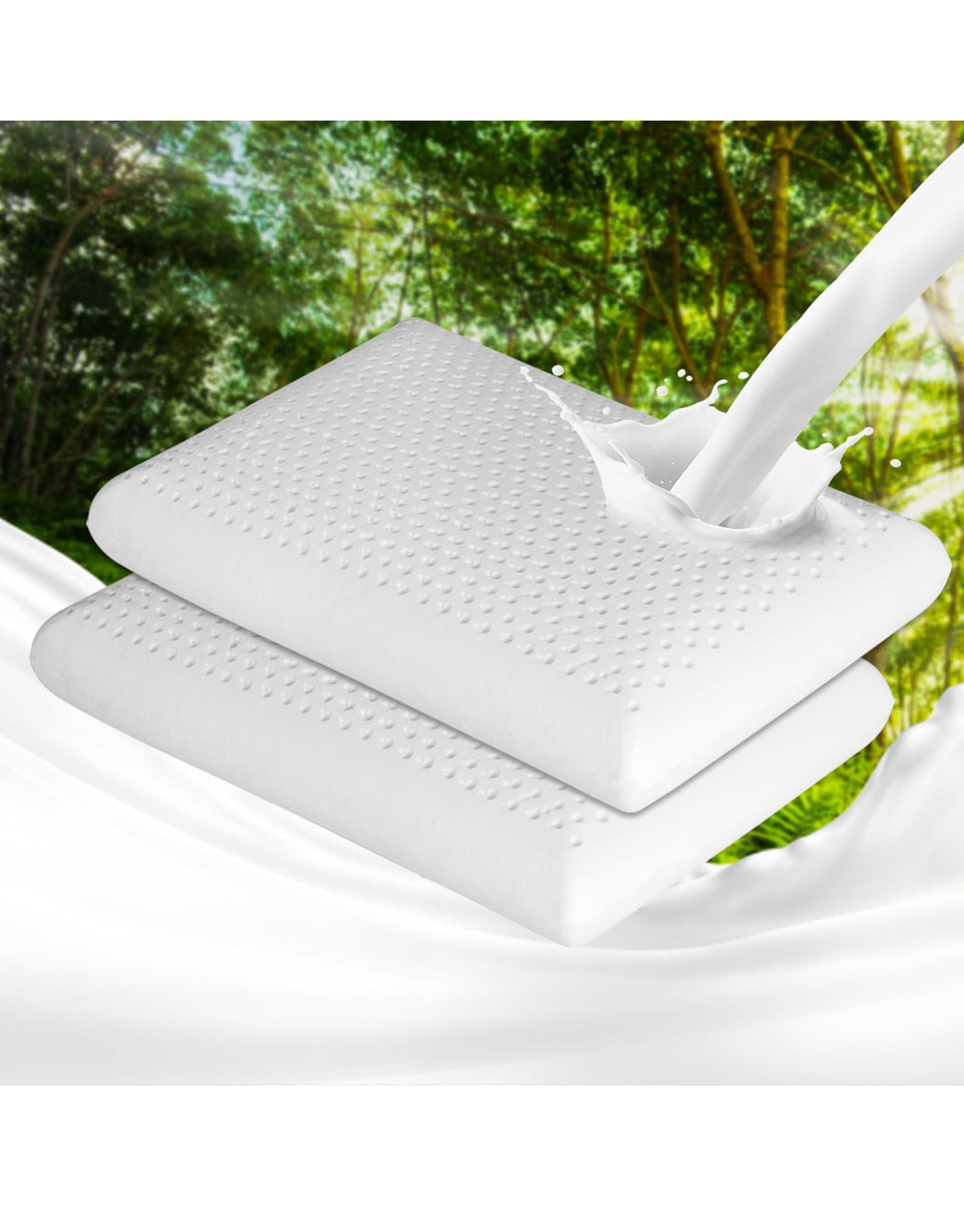 Dreamz Pillows/Cushions 2x Natural Latex Pillow Removable Cover Memory Down Luxurious Soft